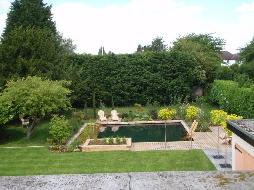 Фотоохота: 20 идей для природного бассейна [чистится растениями]