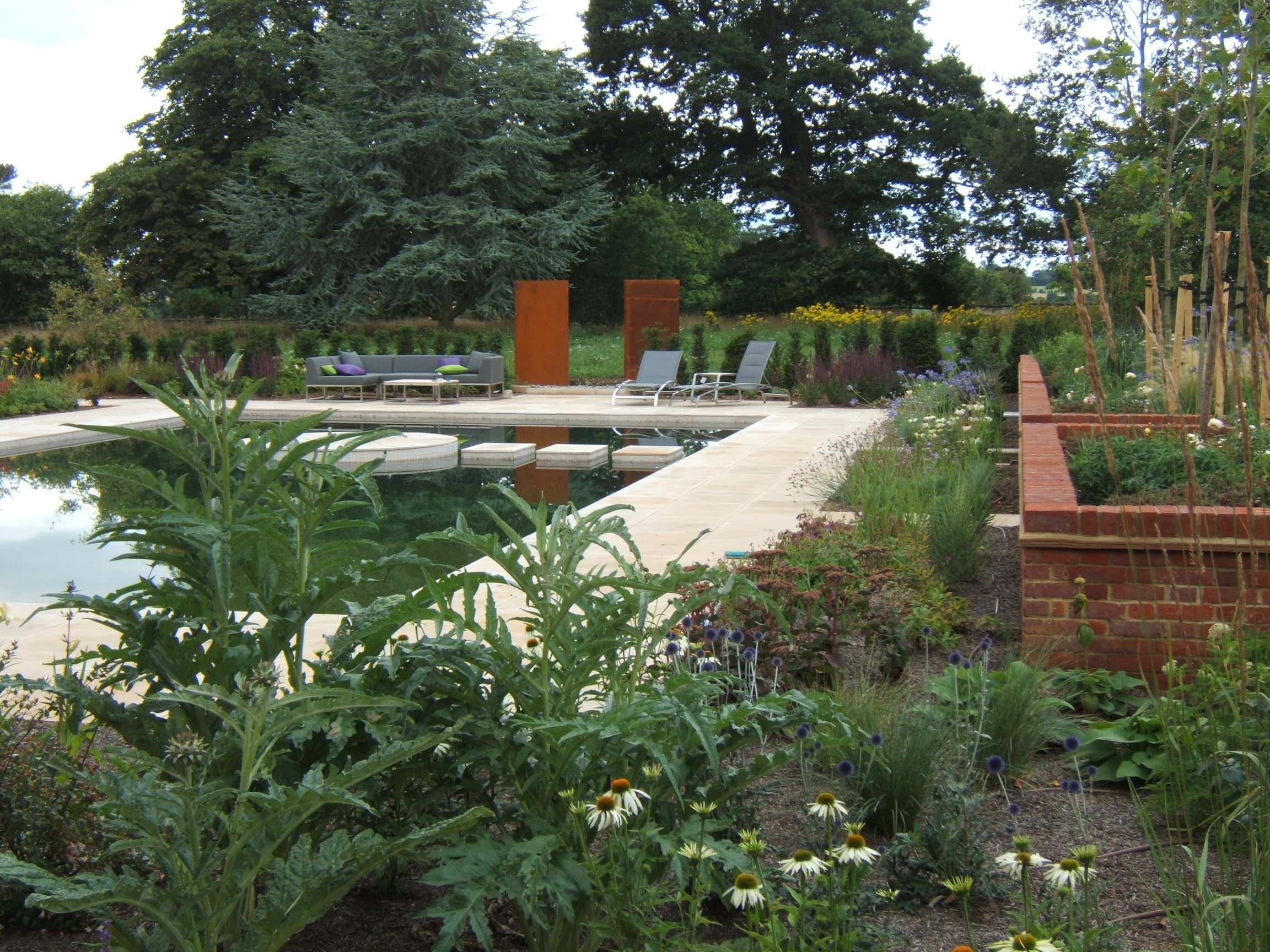 Фотоохота: 20 идей для природного бассейна [чистится растениями]