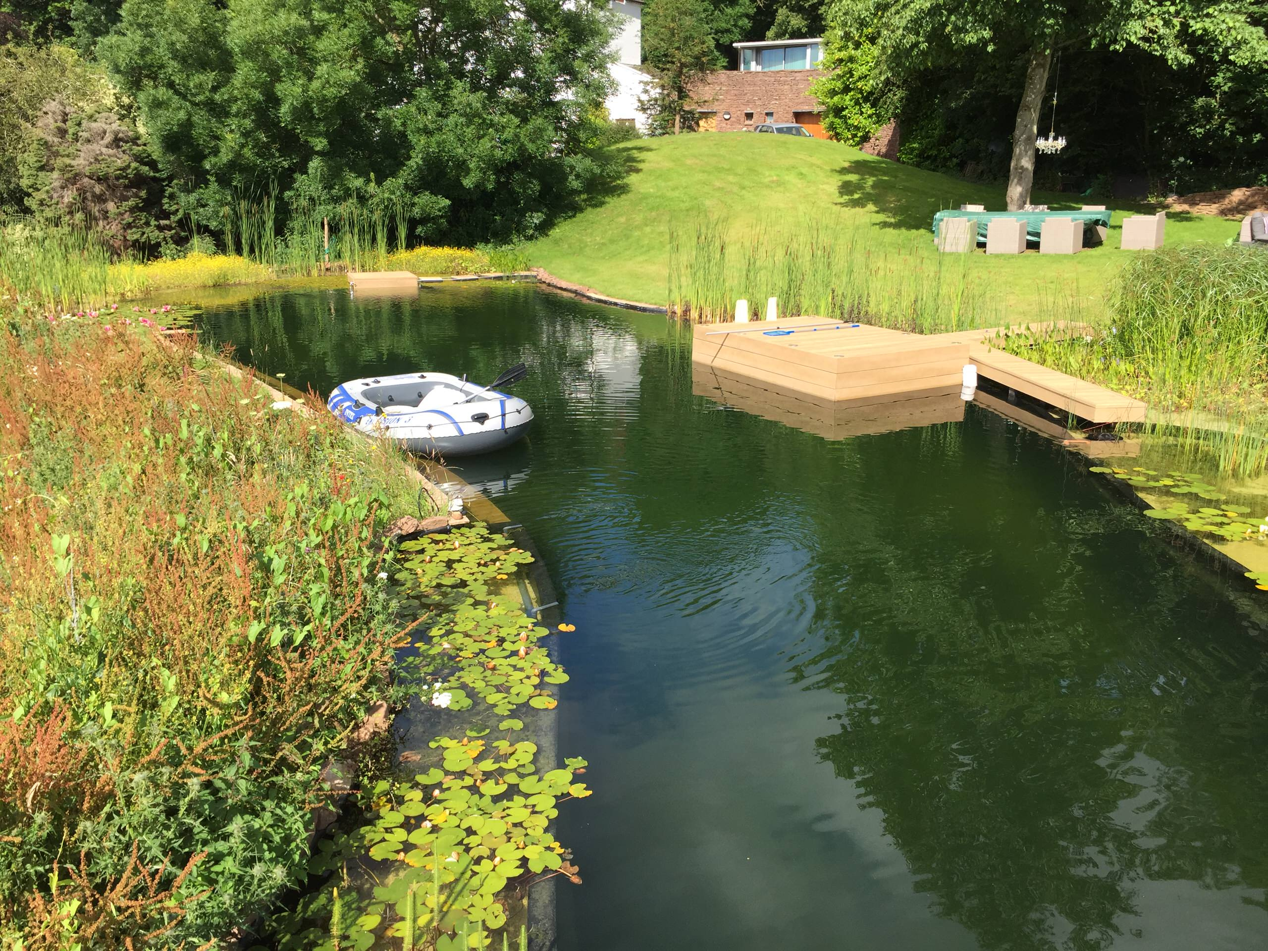 Фотоохота: 20 идей для природного бассейна [чистится растениями]