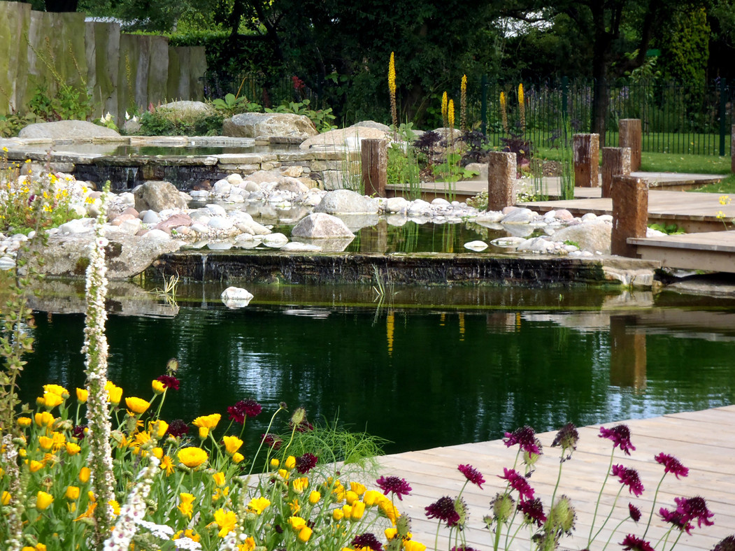 Фотоохота: 20 идей для природного бассейна [чистится растениями]