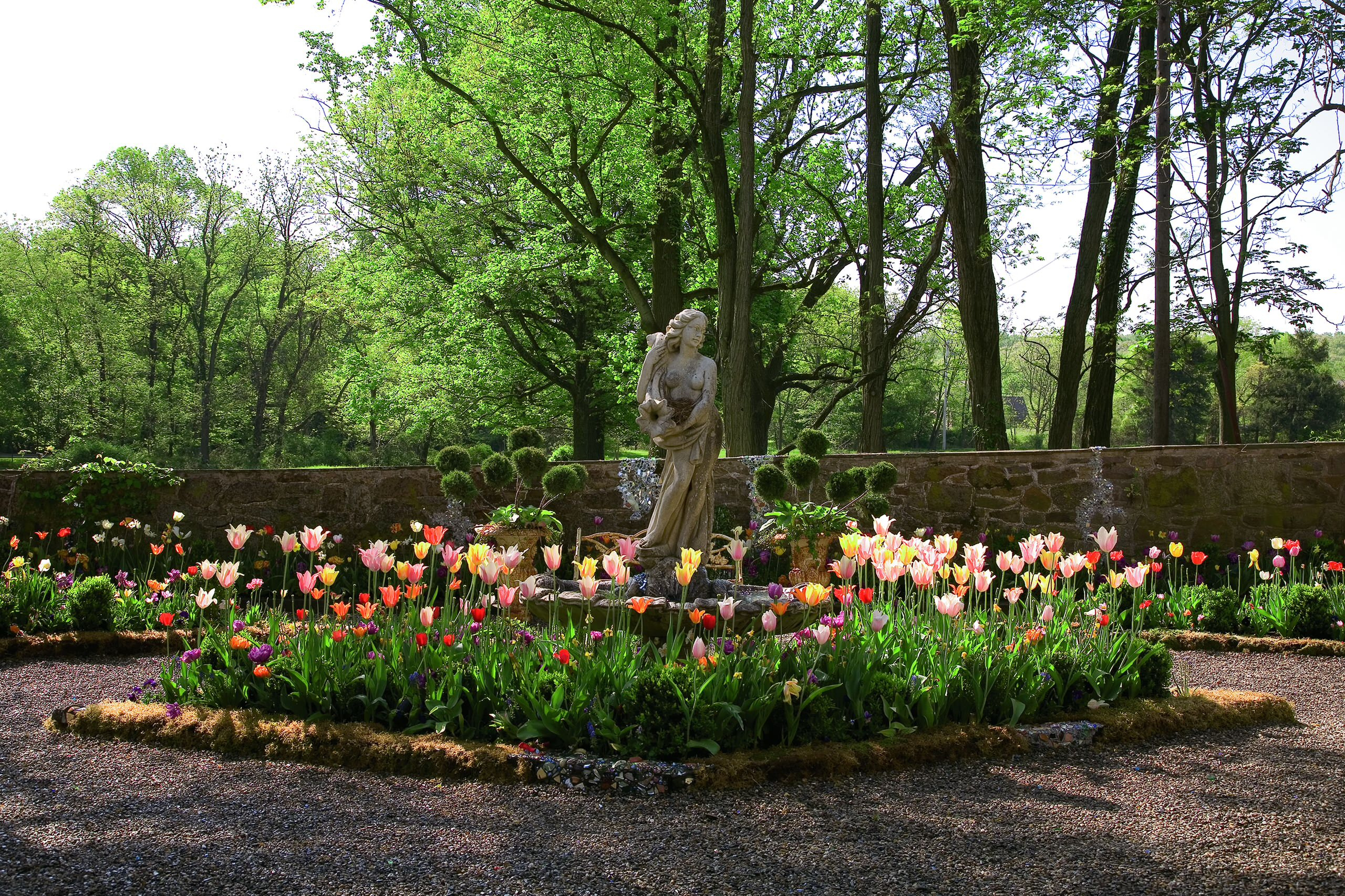 Наш ковер — цветочная поляна: Домашние приемы декорирования на лужайке