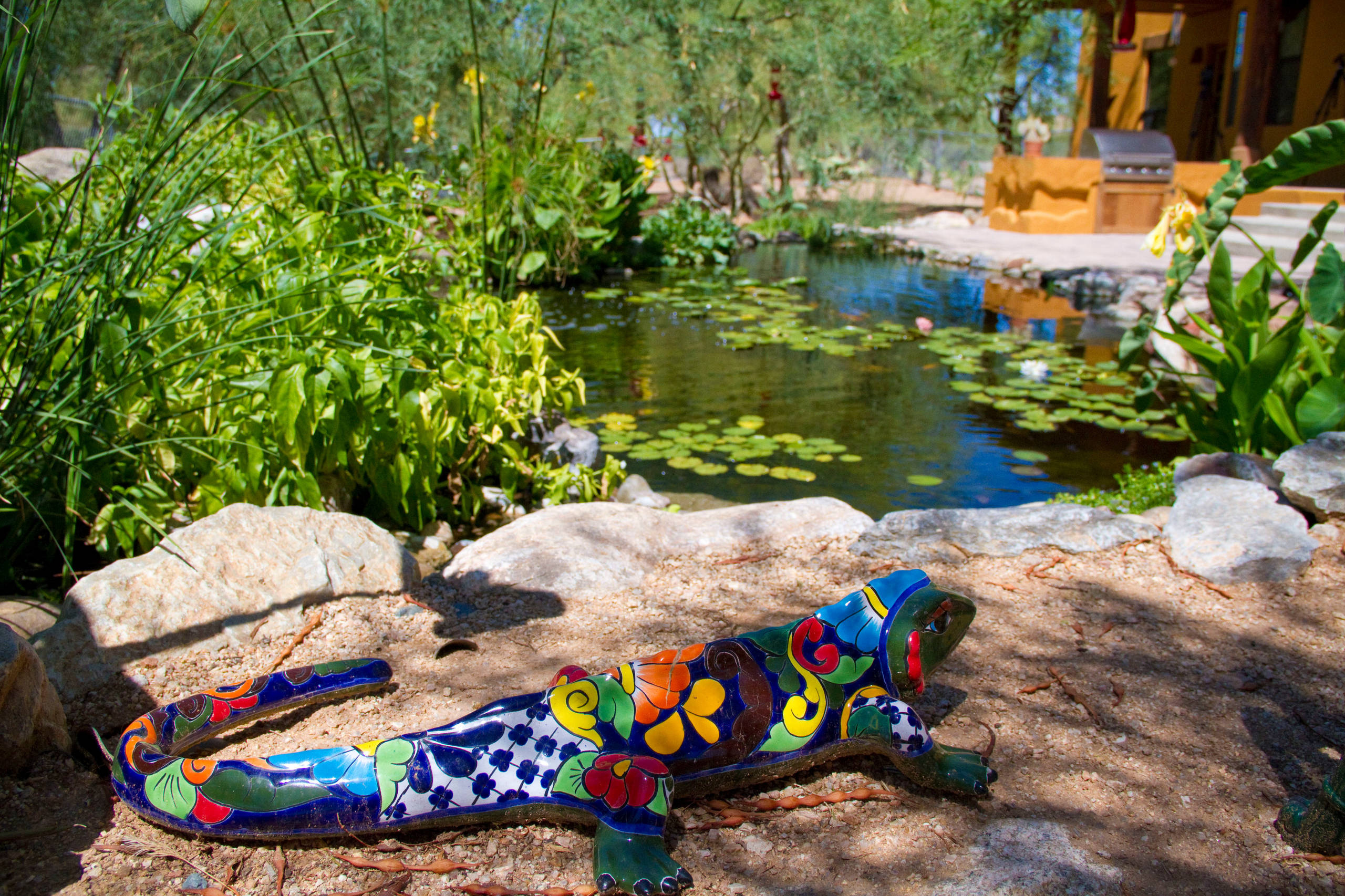 Фотоохота: 85 вдохновляющих уголков сада