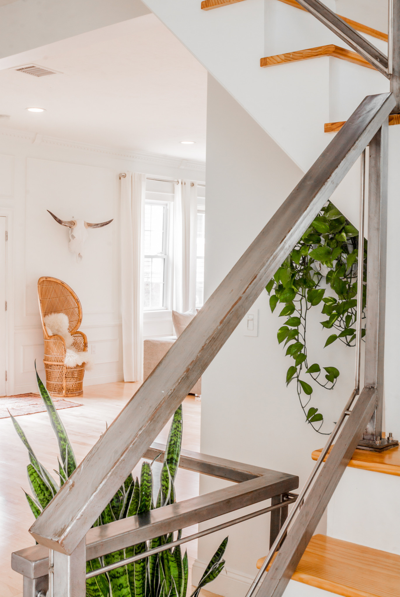 Houzz США: Зимний сад в доме из бывшей конюшни