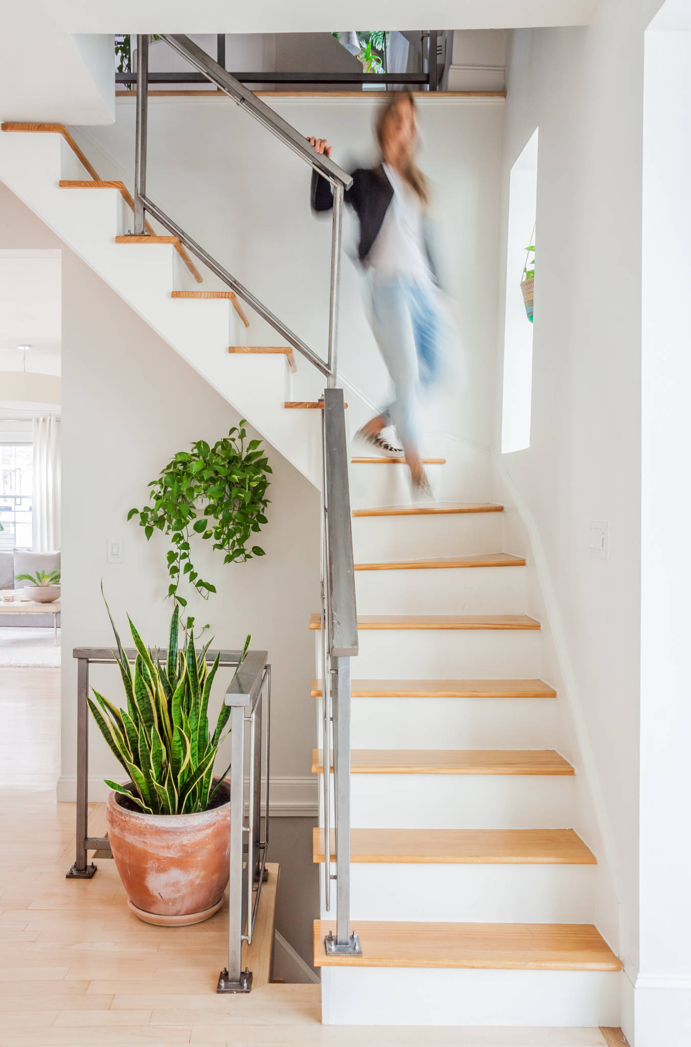 Houzz США: Зимний сад в доме из бывшей конюшни