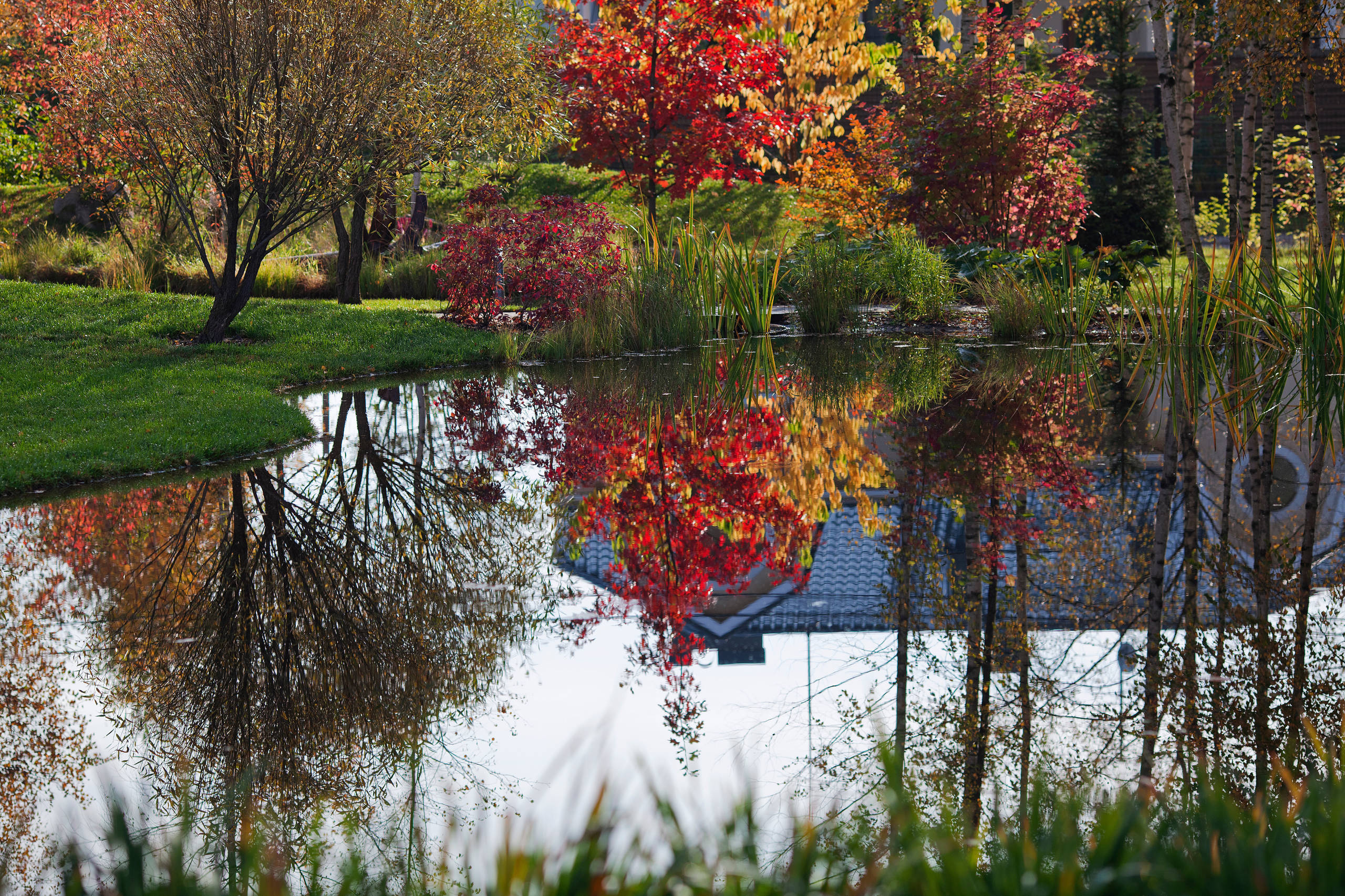 Дизайн-дебаты: О чем спорить с соседями, если ты садовод