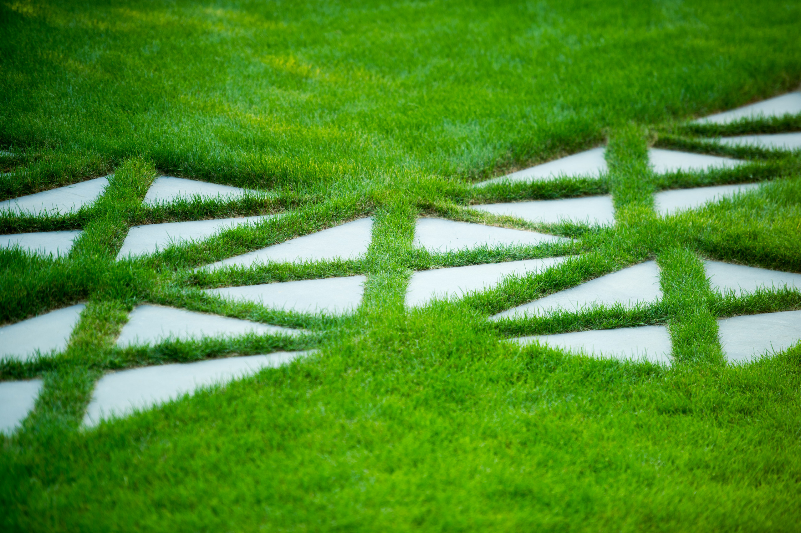 Дизайн-дебаты: О чем спорить с соседями, если ты садовод