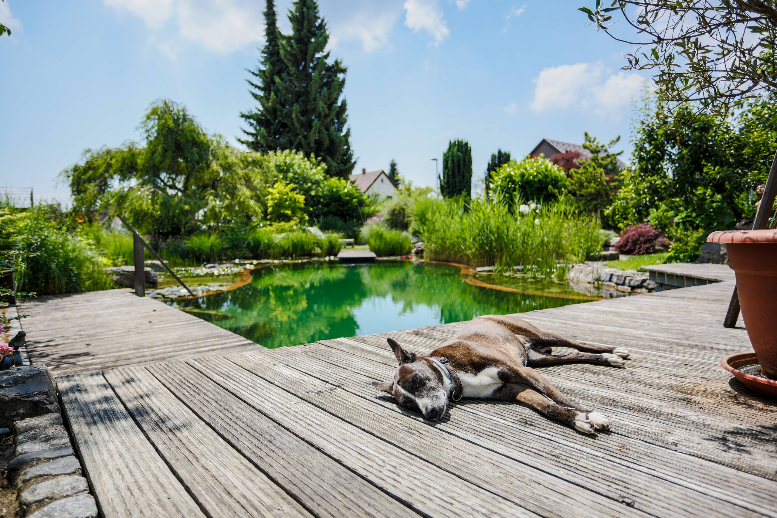 Дизайн-дебаты: О чем спорить с соседями, если ты садовод