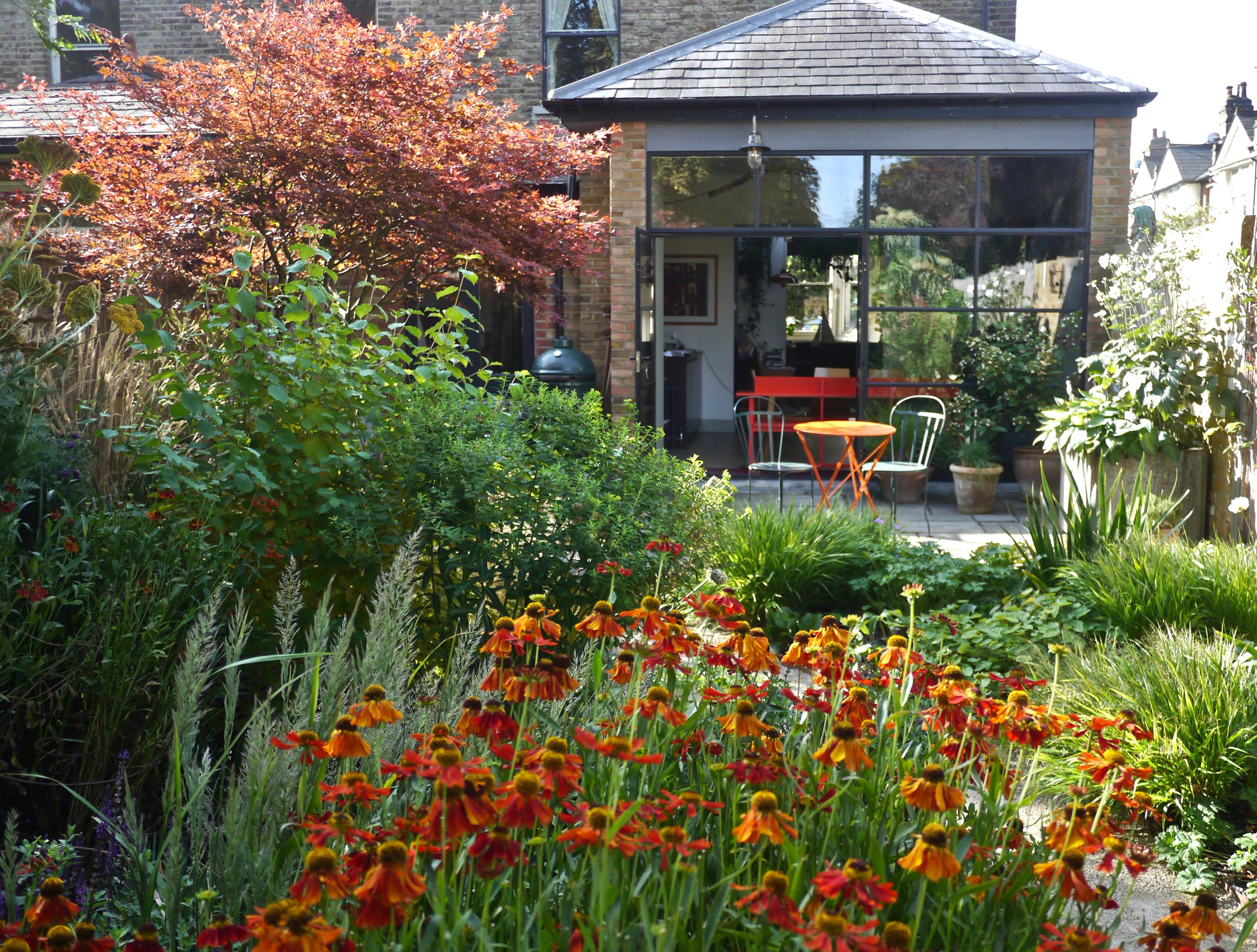 Проект недели: Маленький сад с травами и злаками