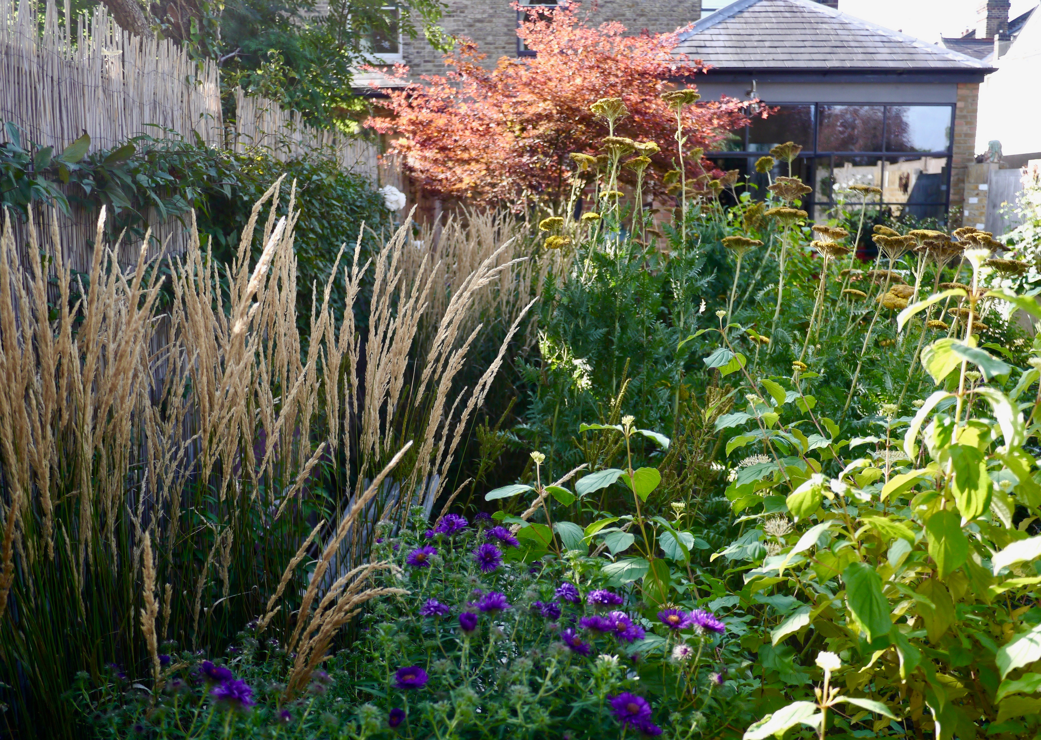 Проект недели: Маленький сад с травами и злаками