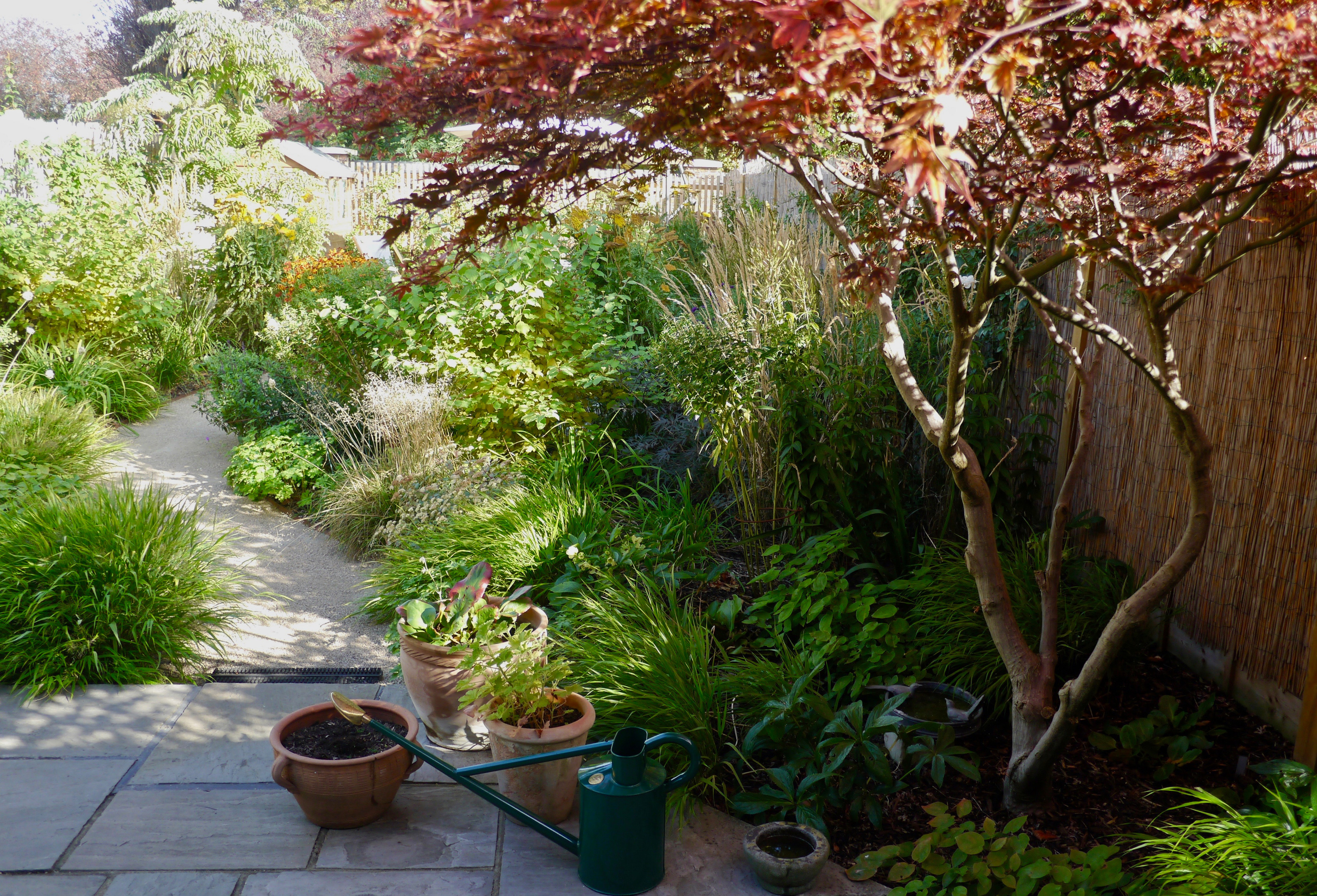 Проект недели: Маленький сад с травами и злаками