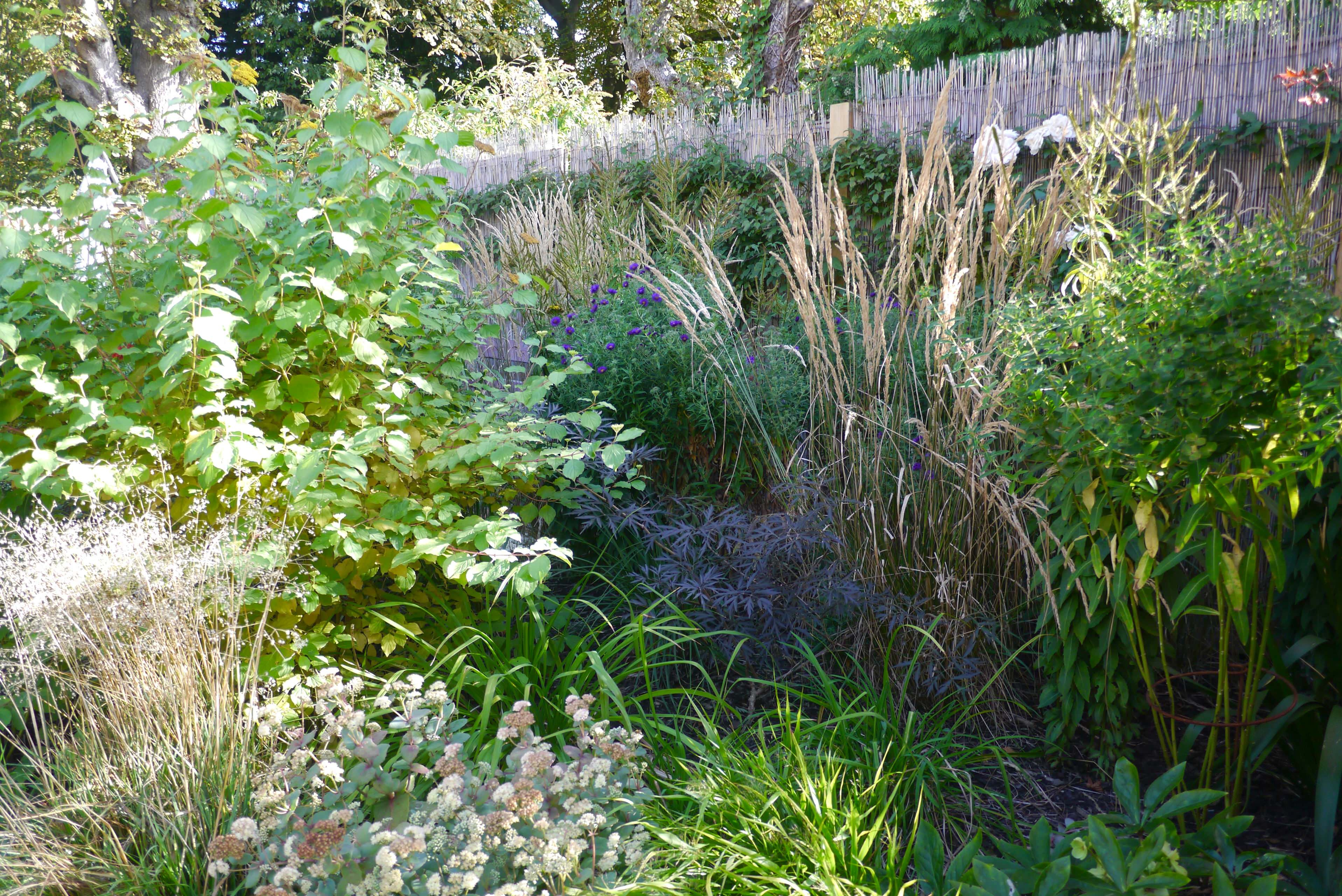 Проект недели: Маленький сад с травами и злаками