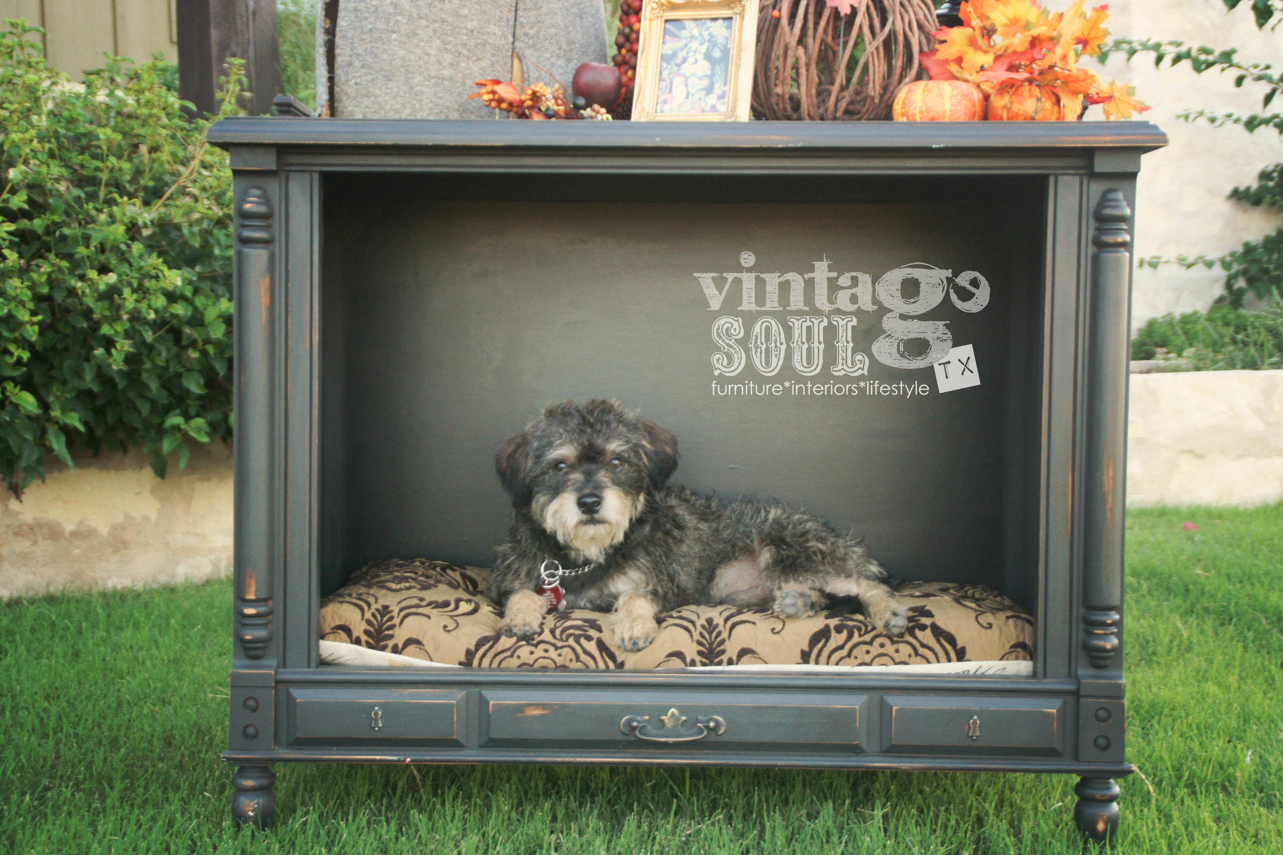 Лежанка для собаки своими руками: мастер-класс