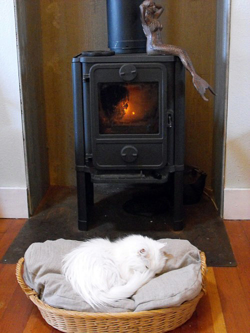 Лежанка для собаки своими руками: мастер-класс