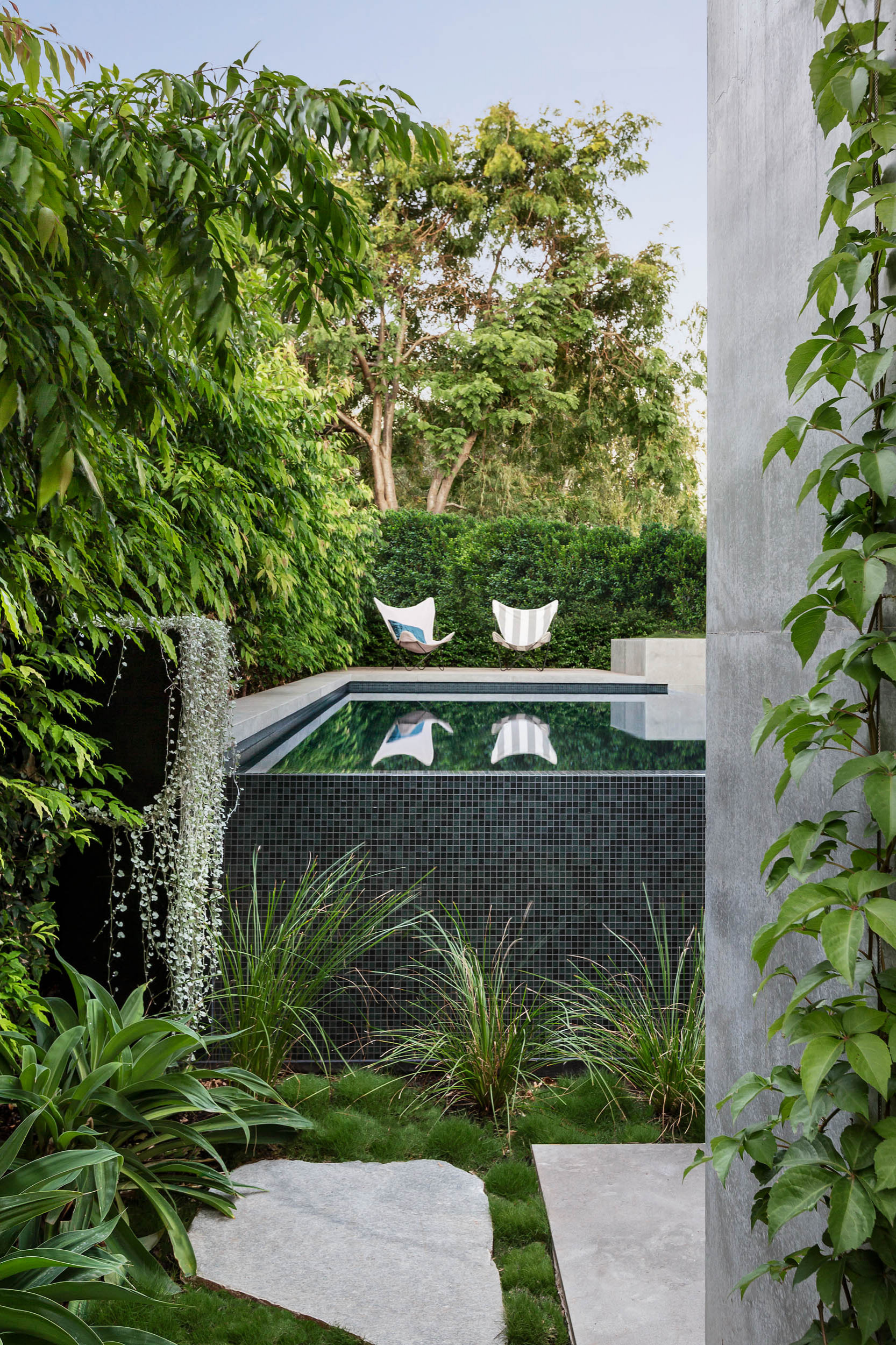 Houzz Австралия: Маленький сад с бассейном