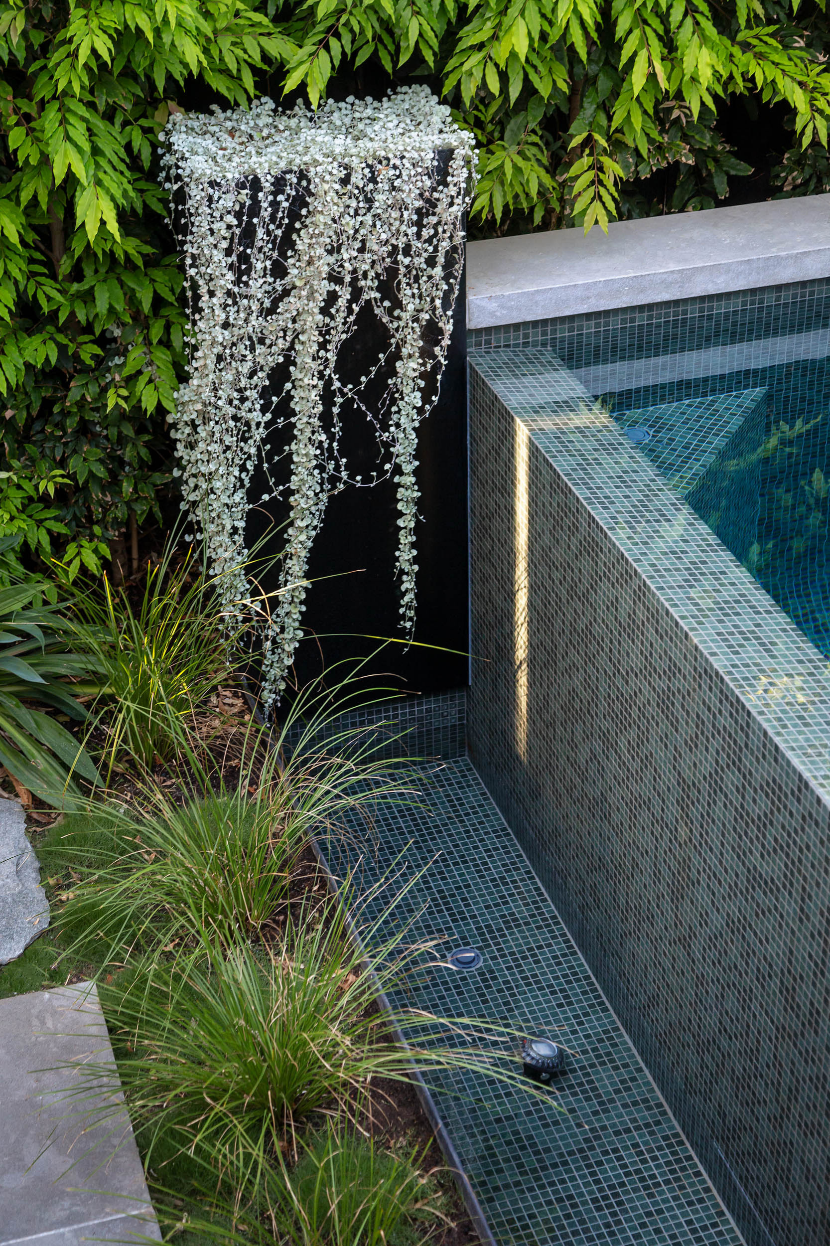 Houzz Австралия: Маленький сад с бассейном