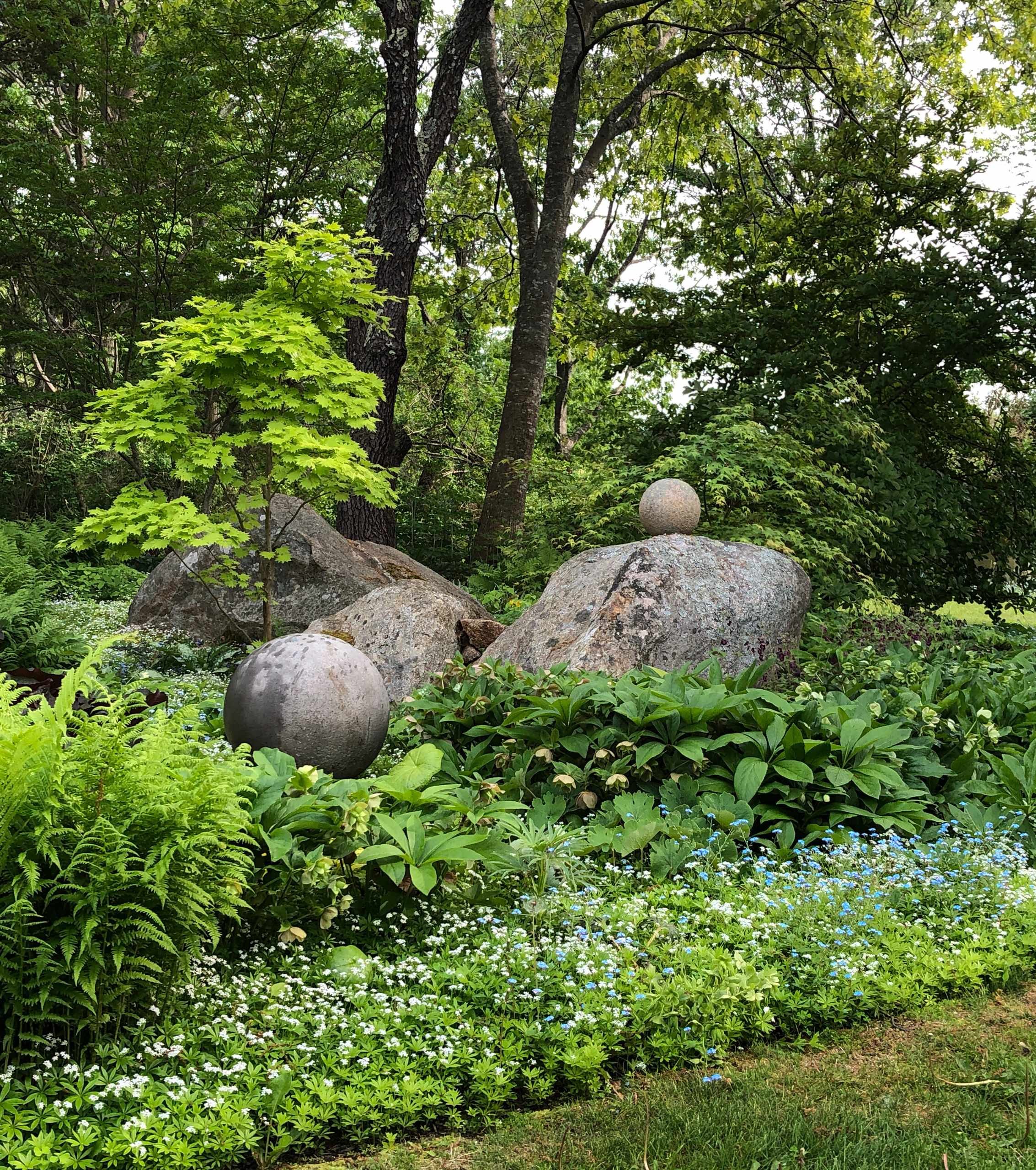 Houzz США: Сад, который который создавали 20 лет