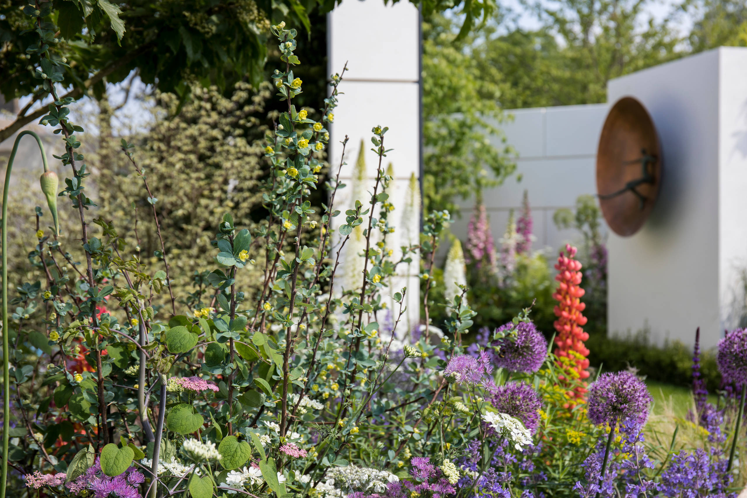 Сад недели: Многокомнатный — с кулисами и порталами
