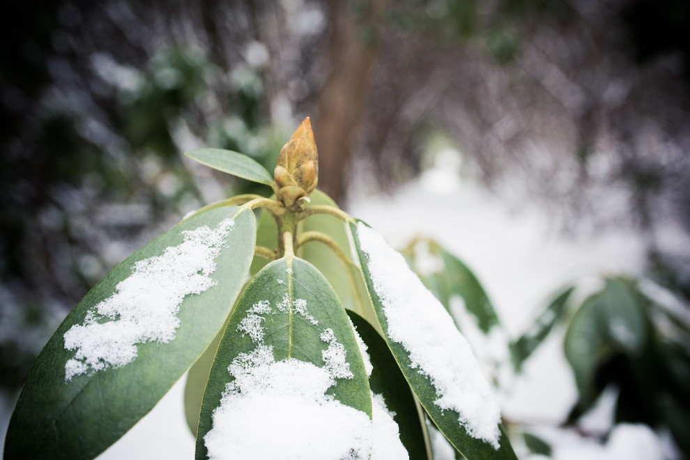 Houzz США: Дом, в котором работал Редьярд Киплинг