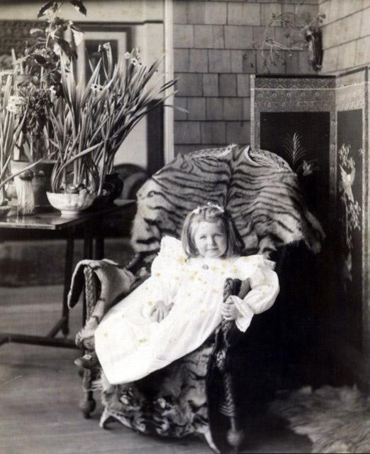 Houzz США: Дом, в котором работал Редьярд Киплинг