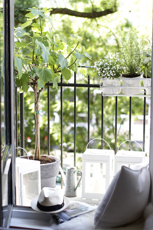 Houzz Германия: Старинный гамбургский дом в блеске медного конфетти