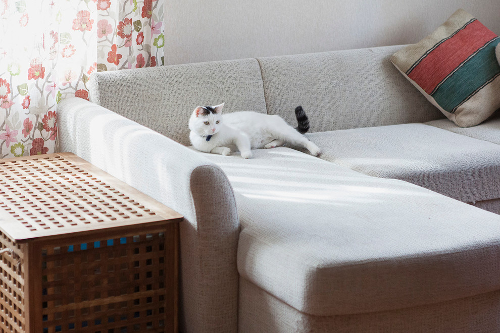 В гостях: Коллекция фонарей, винтажное бюро и петербургская эклектика