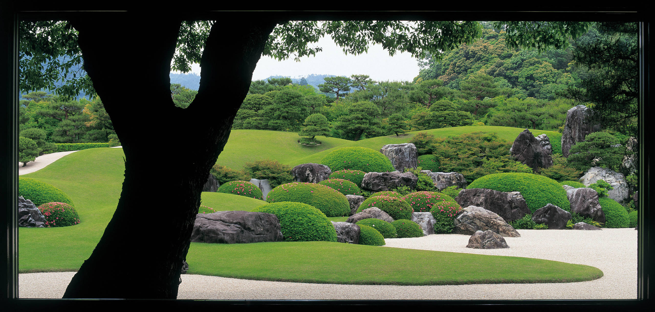 Проект недели: Сад как картина в художественном музее Адачи