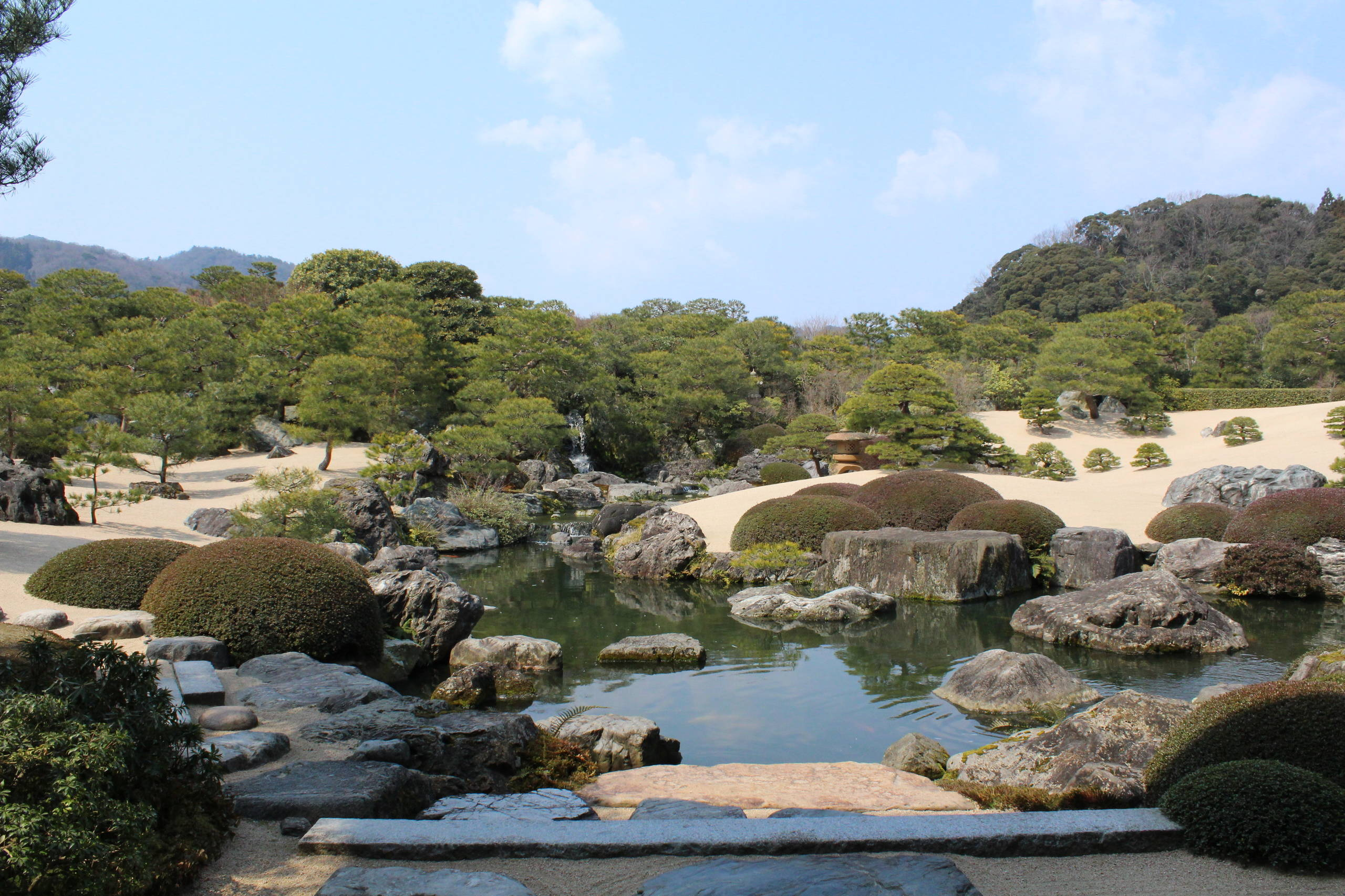 Проект недели: Сад как картина в художественном музее Адачи