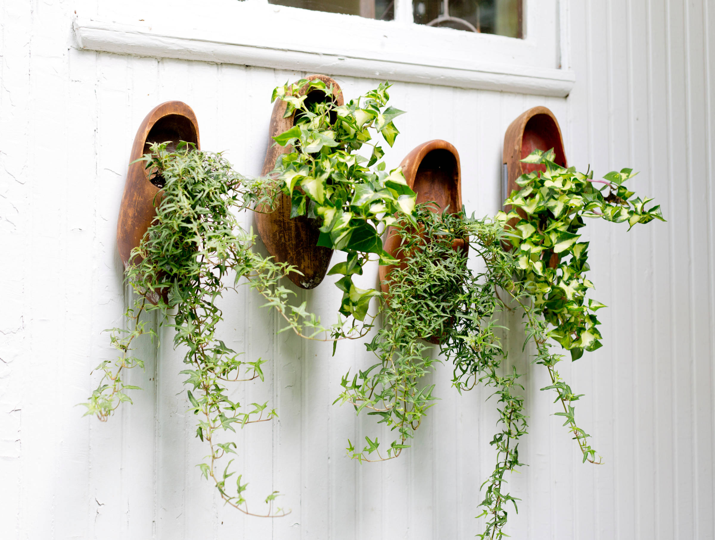 Дизайн-дебаты: Есть ли тренды в комнатных растениях