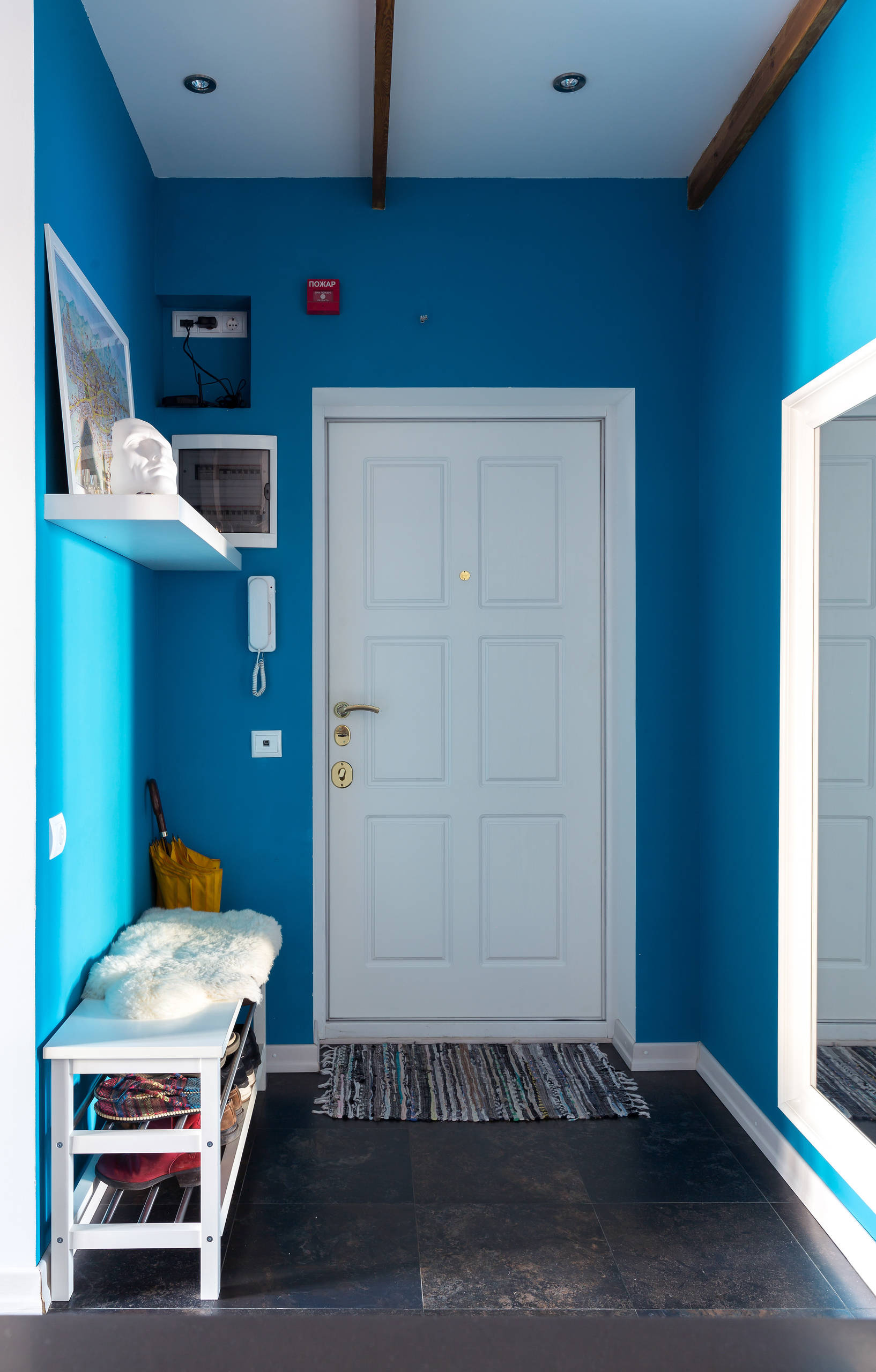 В гостях: Бабочки, парижский стрит-арт и ремонт за три месяца