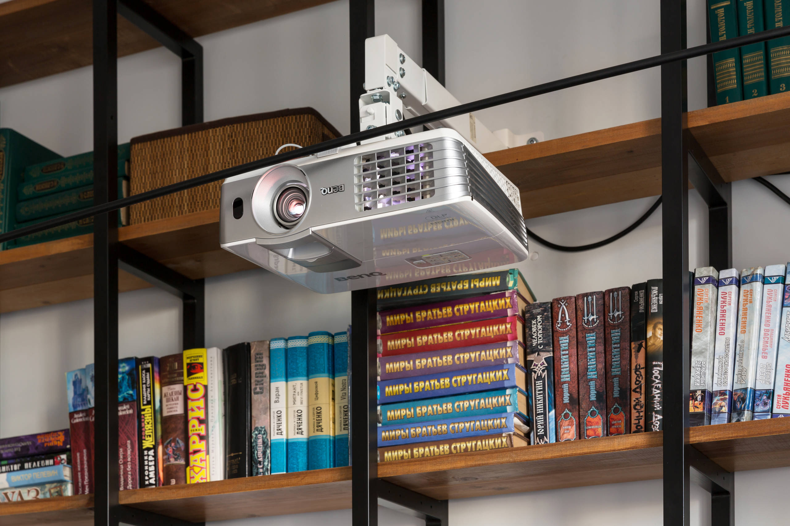 В гостях: Бабочки, парижский стрит-арт и ремонт за три месяца