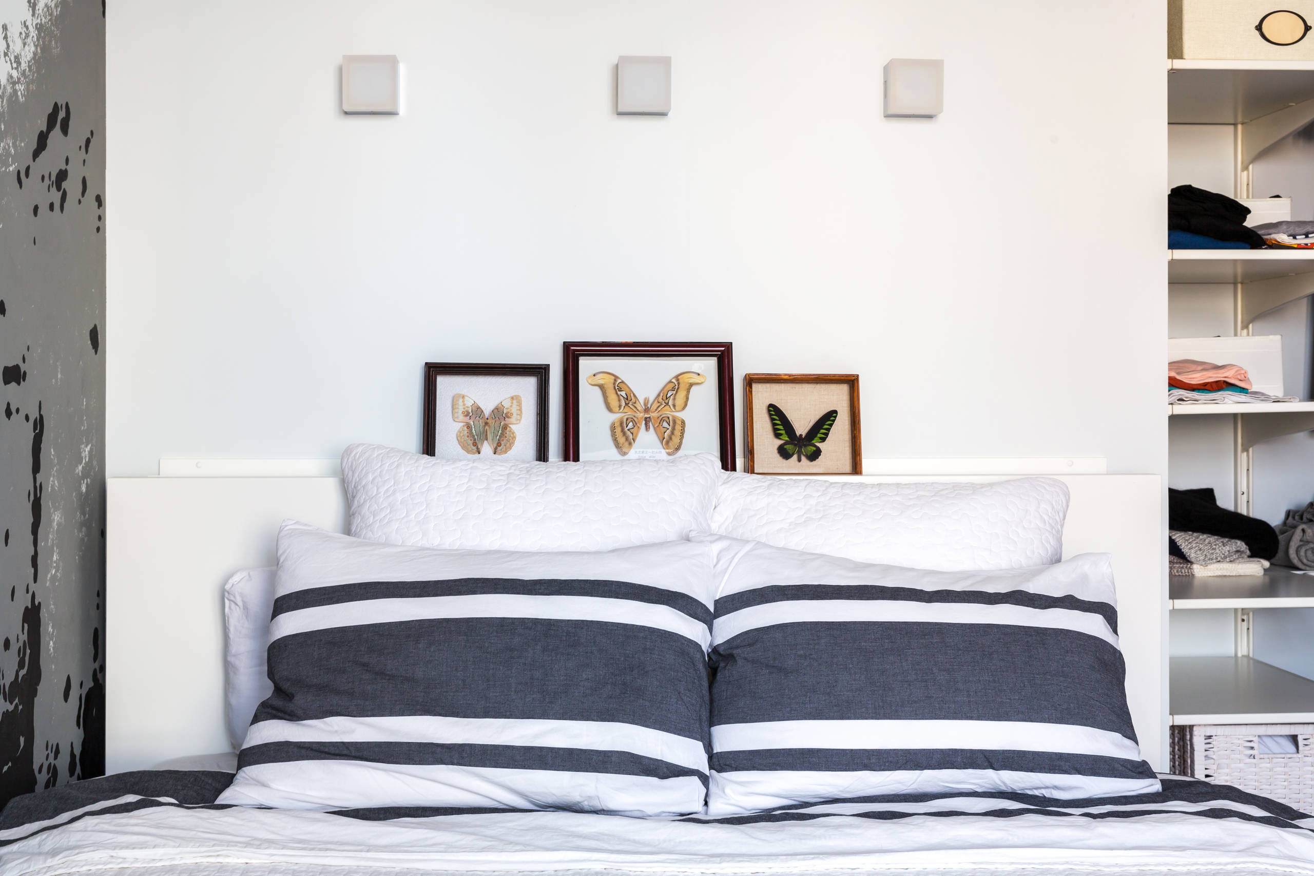 В гостях: Бабочки, парижский стрит-арт и ремонт за три месяца