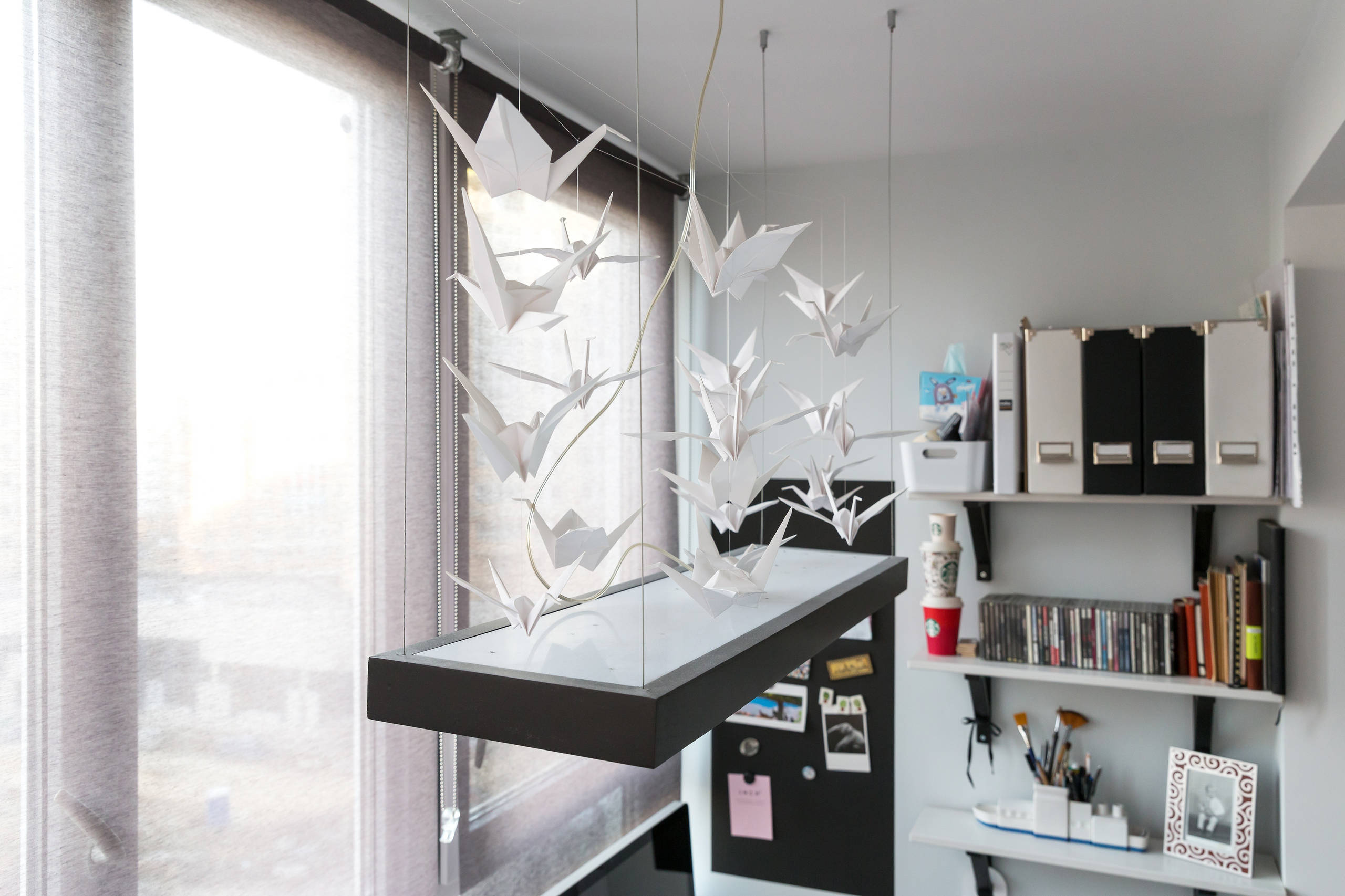 В гостях: Бабочки, парижский стрит-арт и ремонт за три месяца