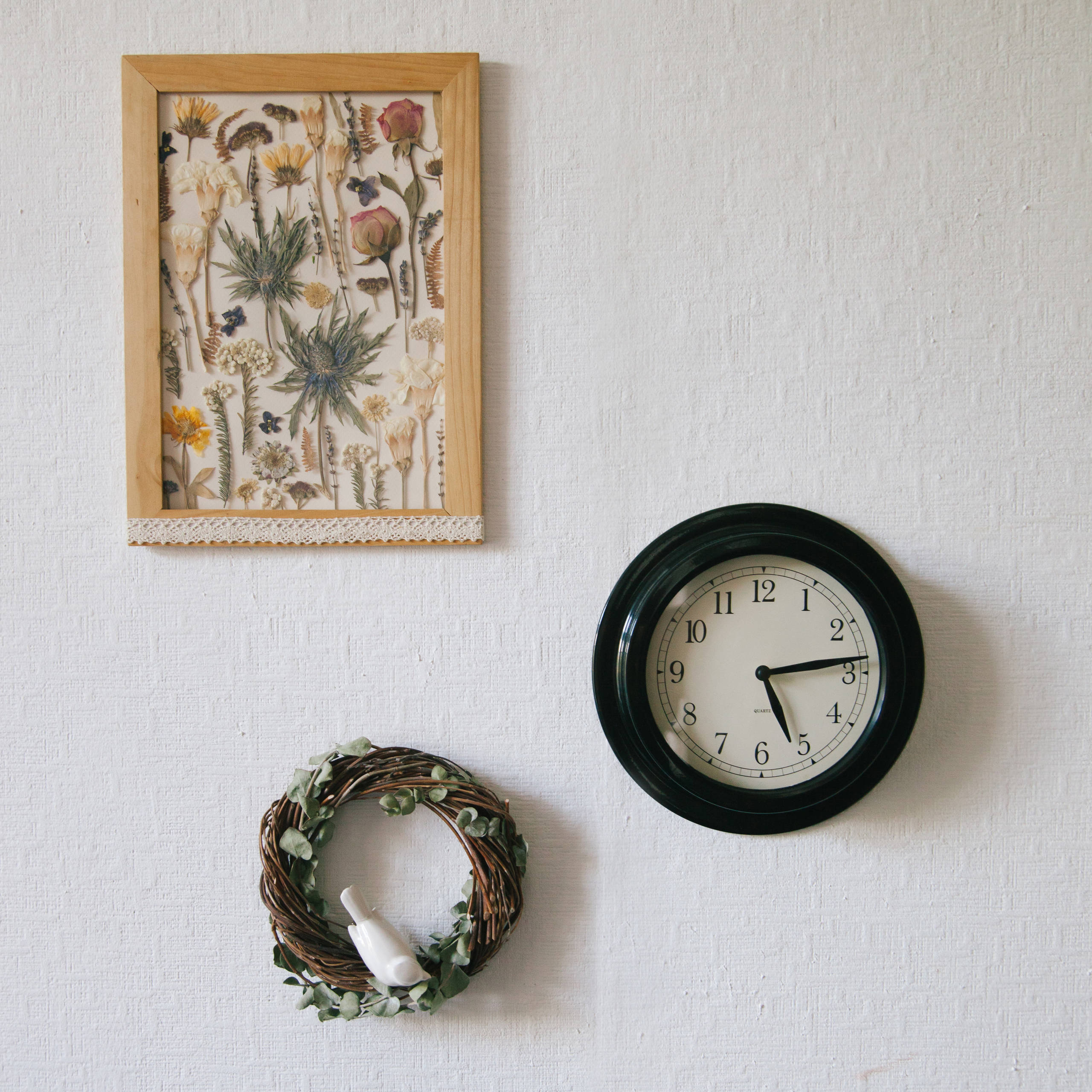 Своими руками: Как сделать гербарий – картину