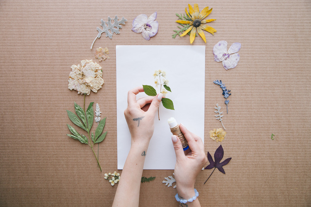 Своими руками: Как сделать гербарий – картину