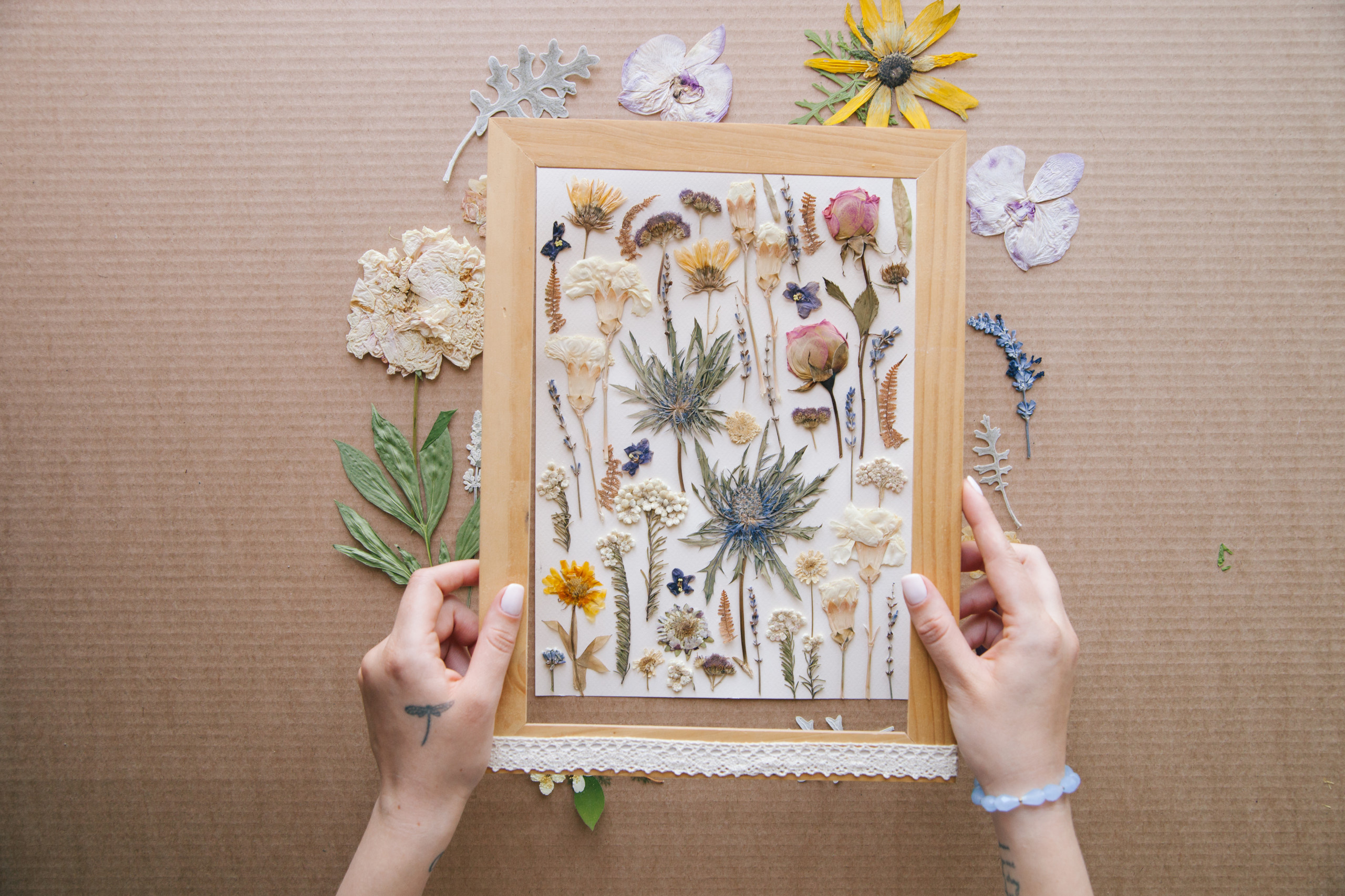 Своими руками: Как сделать гербарий – картину