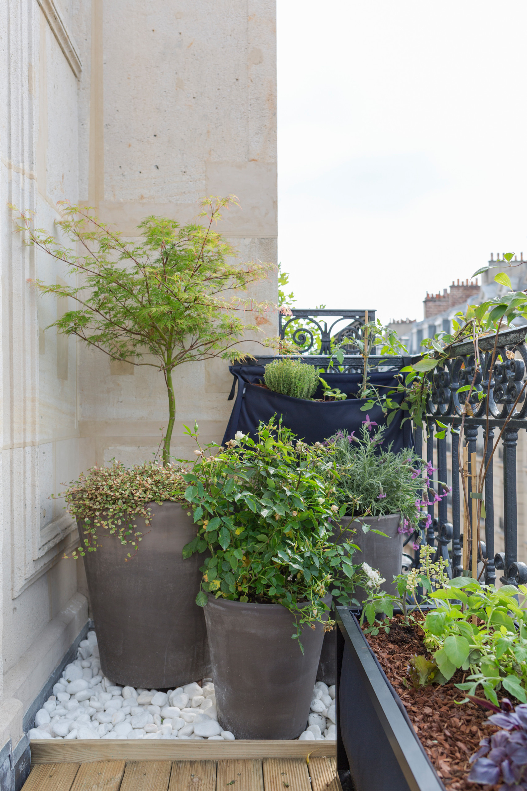 До и после: Балкон в Париже, где выращивают помидоры и мяту