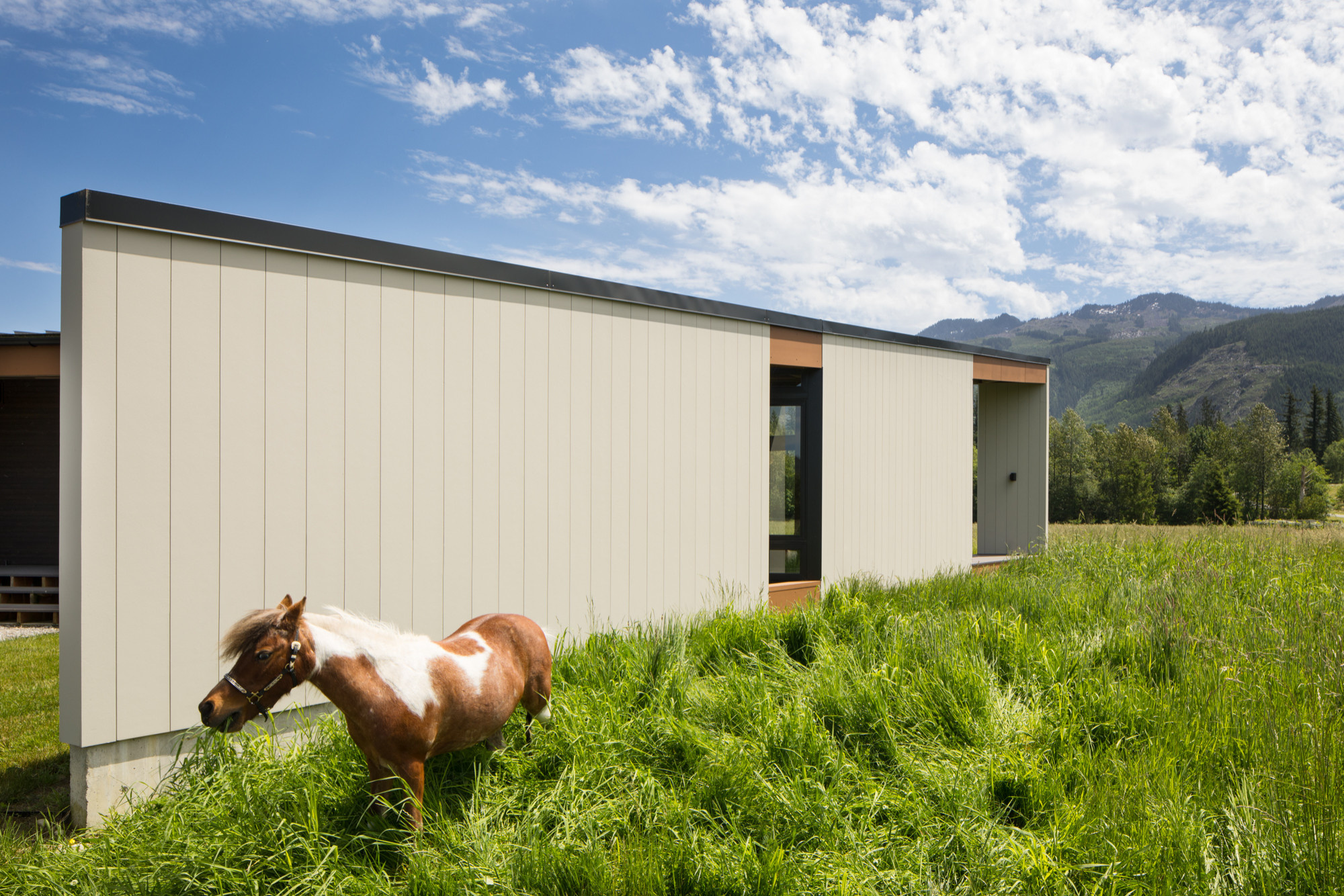 Houzz США: Современный дом с видом на Каскадные горы