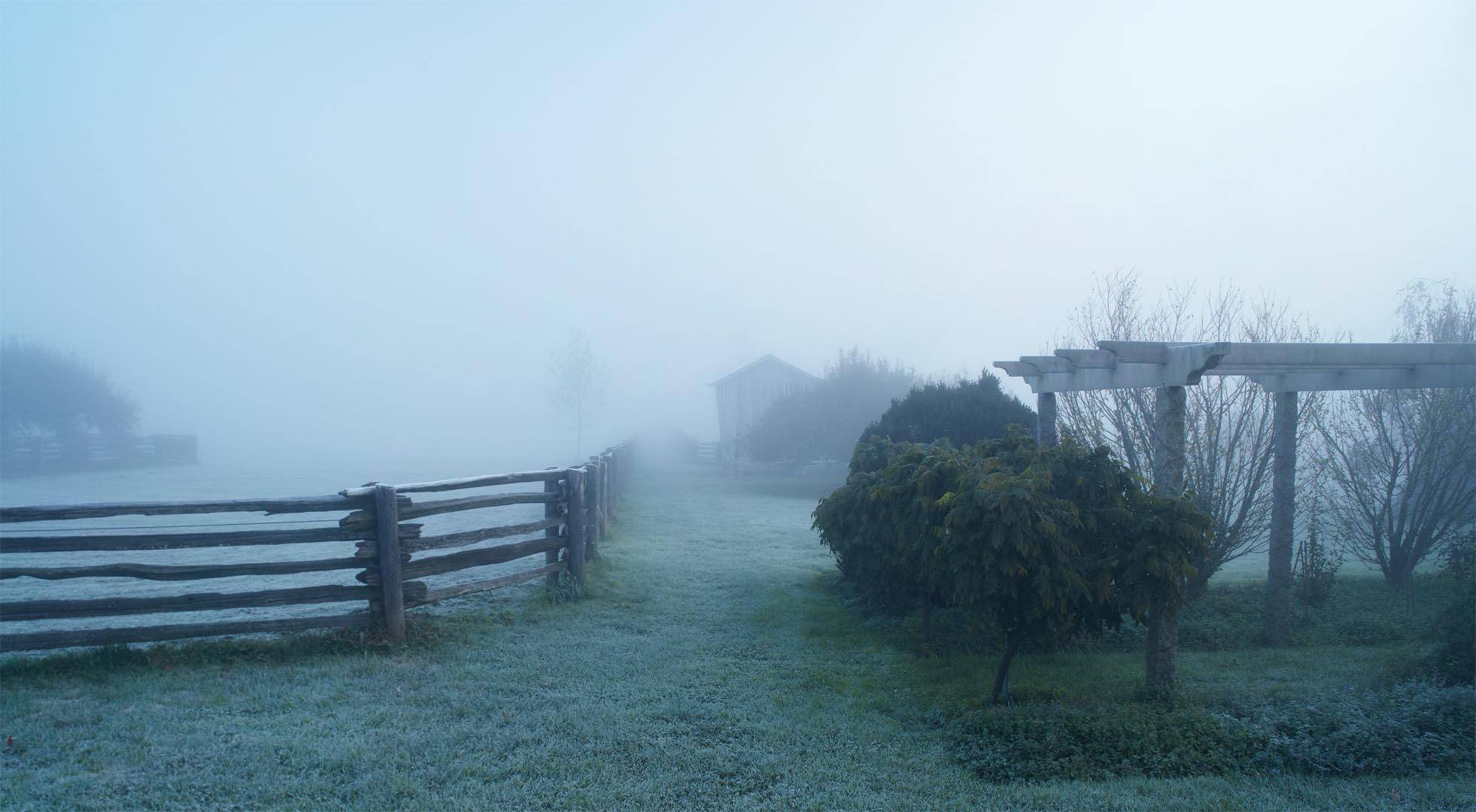 Ландшафт и строительство: 12 старинных приемов, которые снова в моде