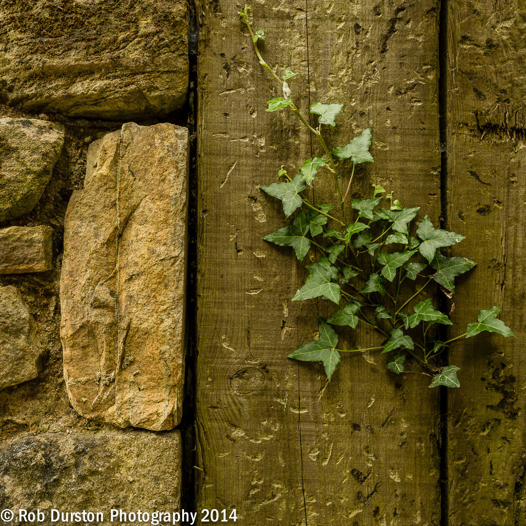 Ландшафт и строительство: 12 старинных приемов, которые снова в моде