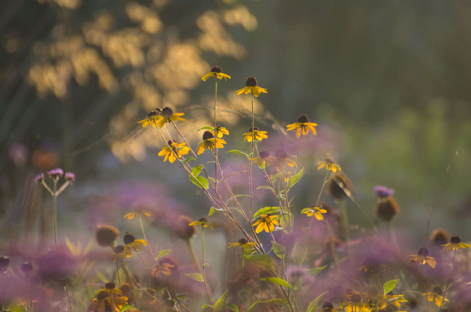 Хороший вопрос: Дизайн-проект и дизайн интерьера — в чем разница