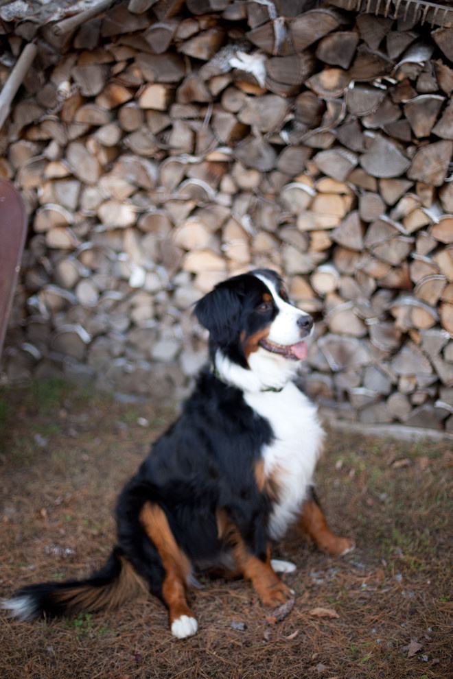 Houzz США: Уютный дом с антикварной мебелью в Нью-Гемпшире