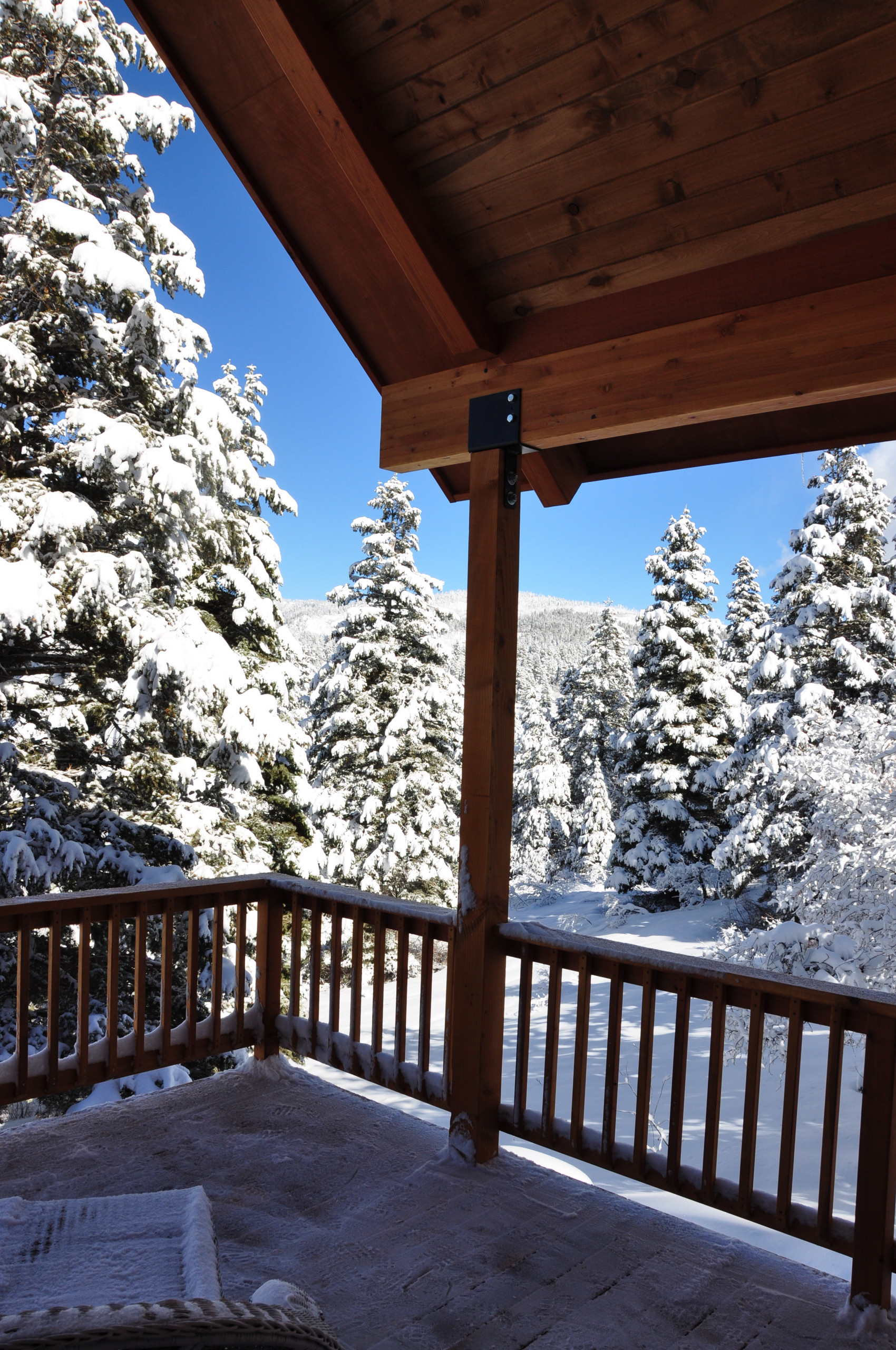 Садовый календарь на январь: Году начало, зиме — середина