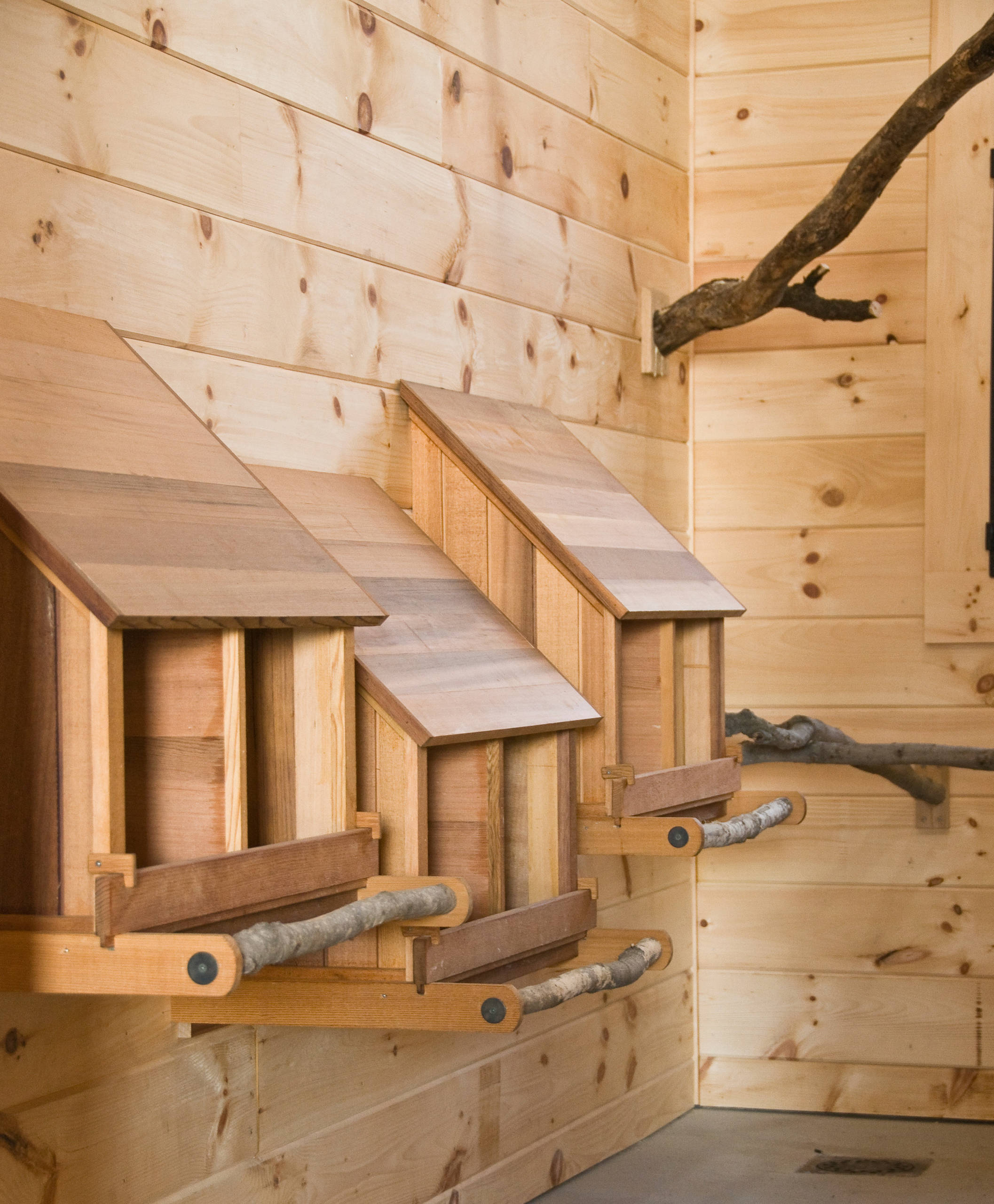 Садовый календарь на январь: Году начало, зиме — середина