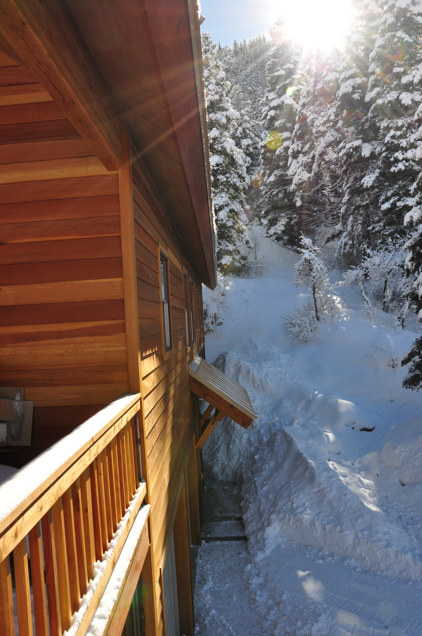 Садовый календарь на январь: Году начало, зиме — середина