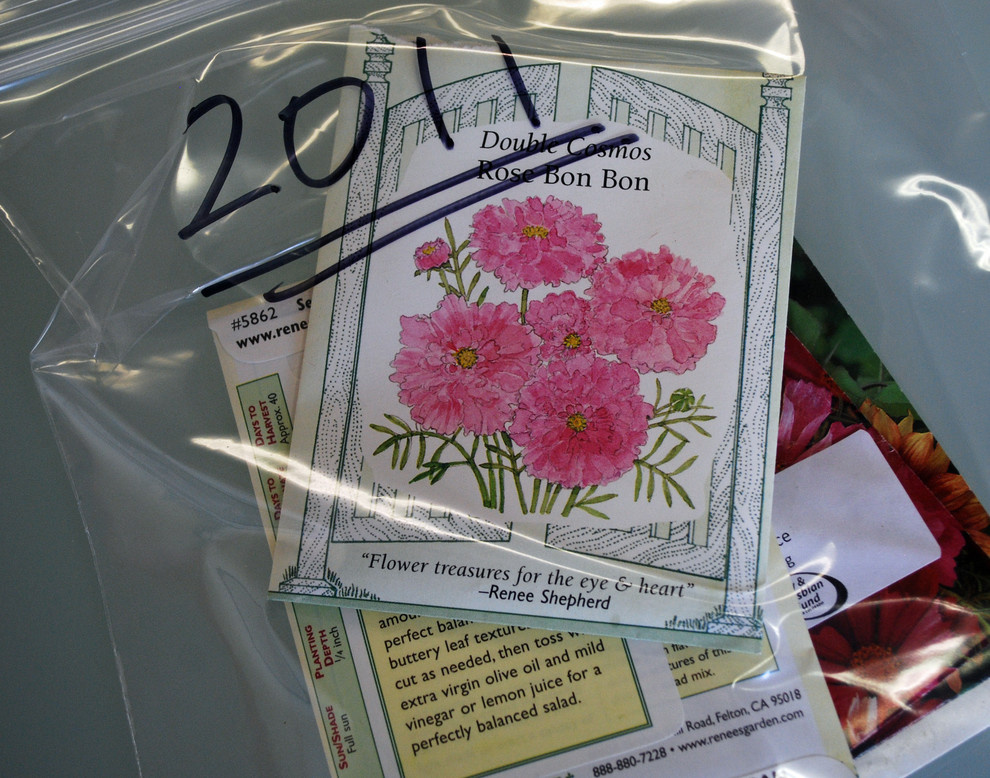 Садовый календарь на январь: Году начало, зиме — середина