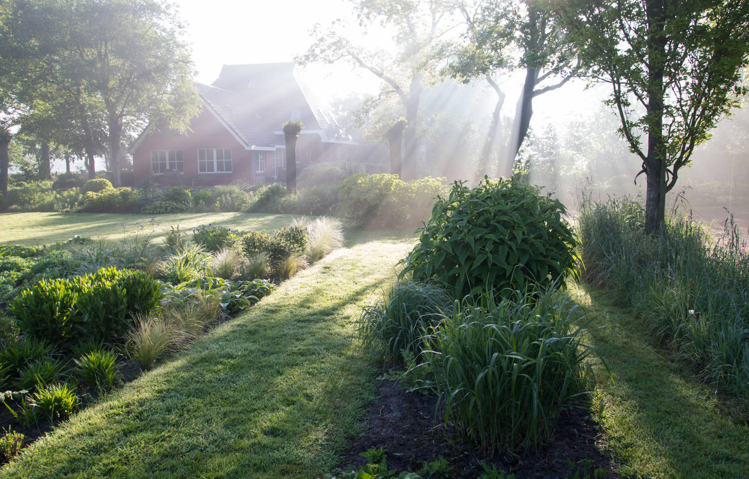 Houzz Нидерланды: Якобстуин — очаровательный сад Яапа де Вриса