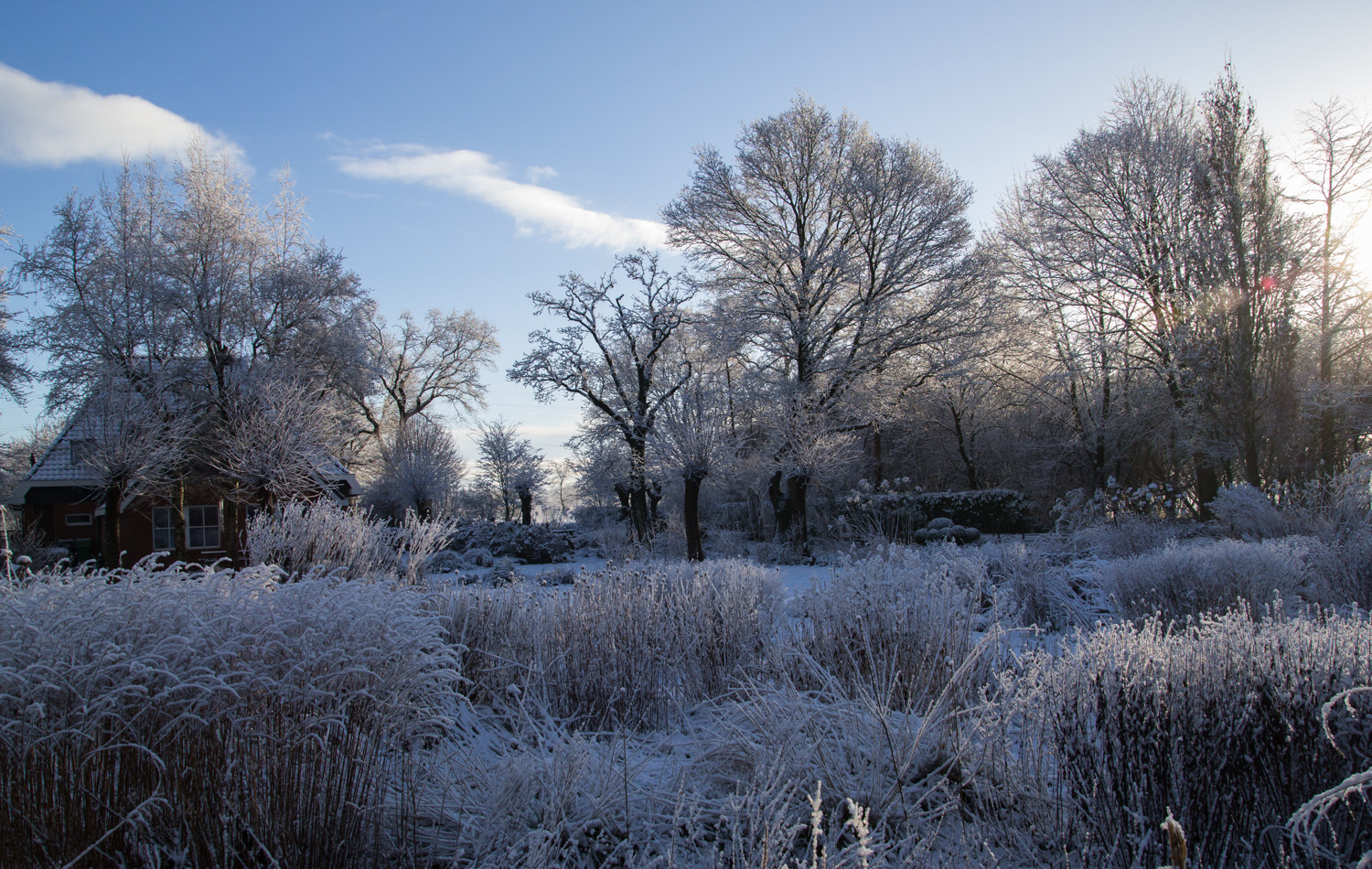 Houzz Нидерланды: Якобстуин — очаровательный сад Яапа де Вриса