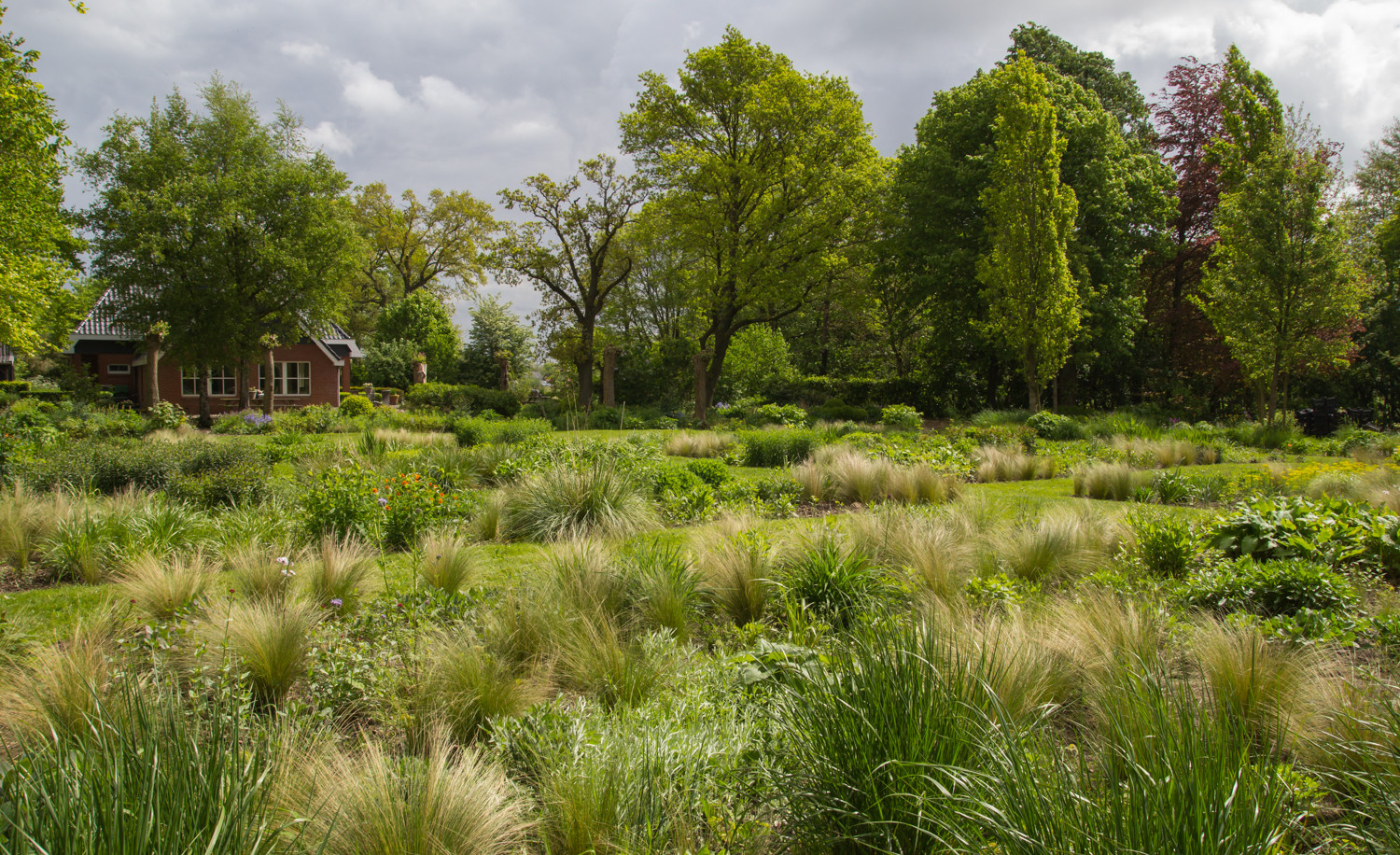 Houzz Нидерланды: Якобстуин — очаровательный сад Яапа де Вриса