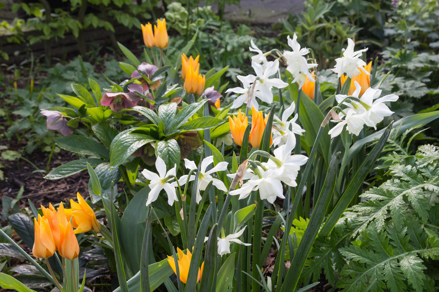 Houzz Нидерланды: Якобстуин — очаровательный сад Яапа де Вриса