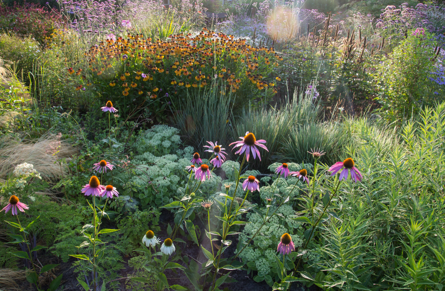 Houzz Нидерланды: Якобстуин — очаровательный сад Яапа де Вриса